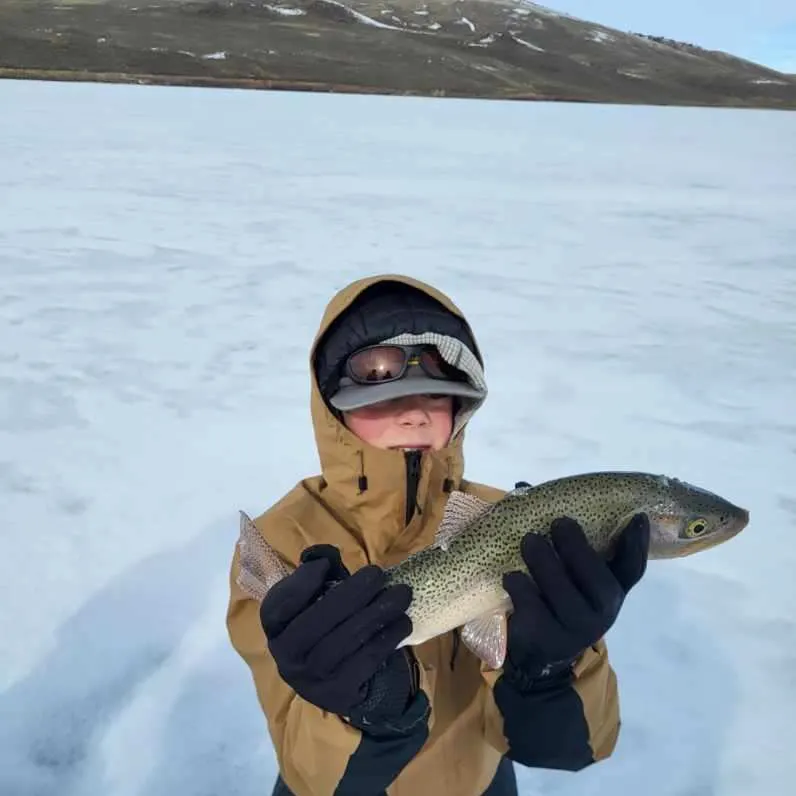 The most recent Cutthroat trout catches on Fishbrain