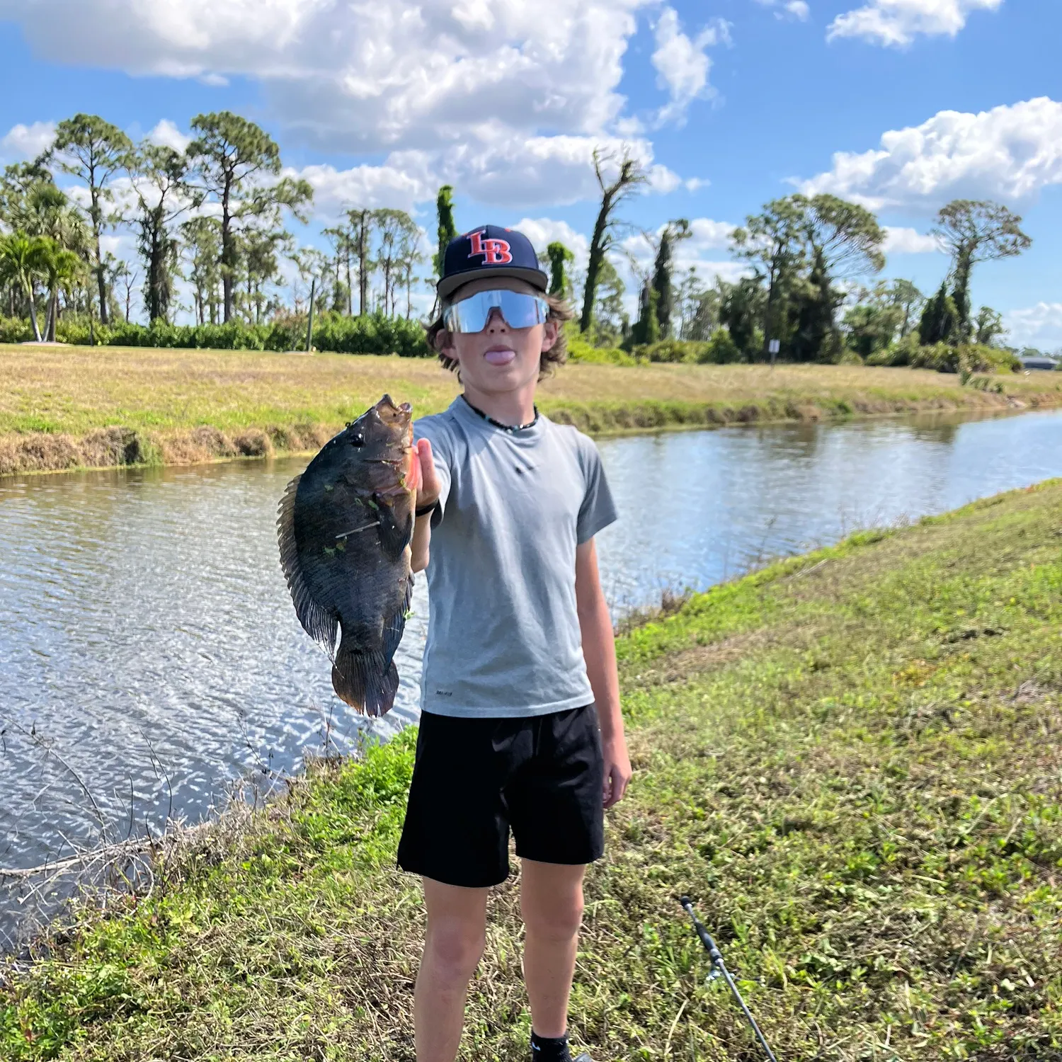 most liked catch image