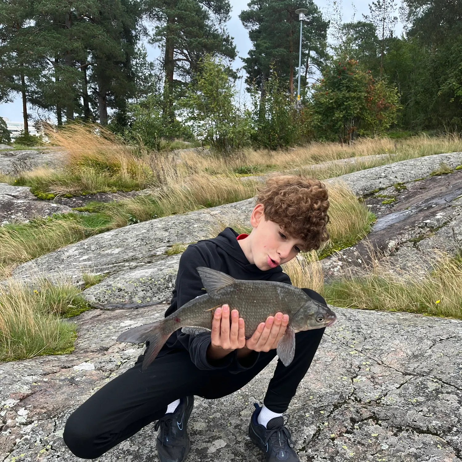 Common bream caught on Fishbrain