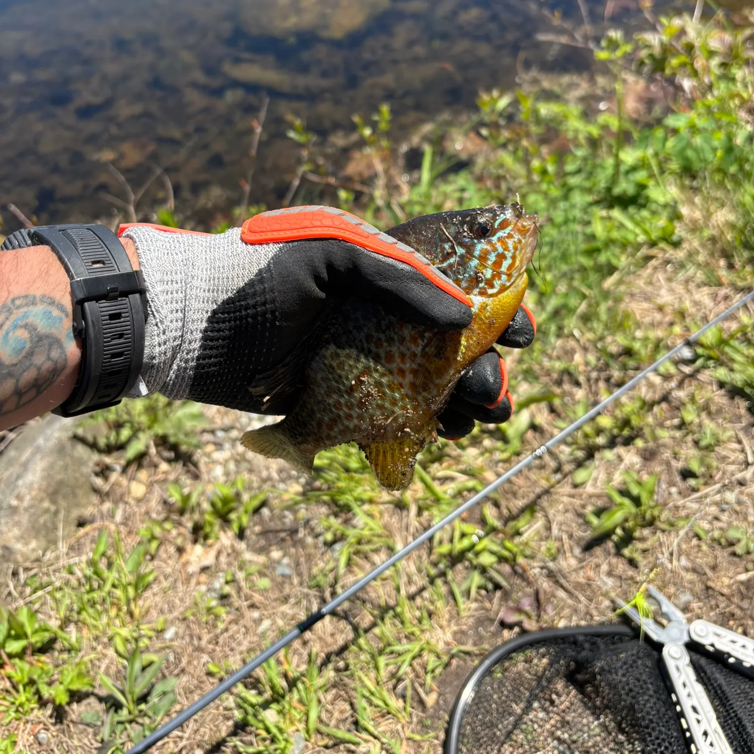 catch