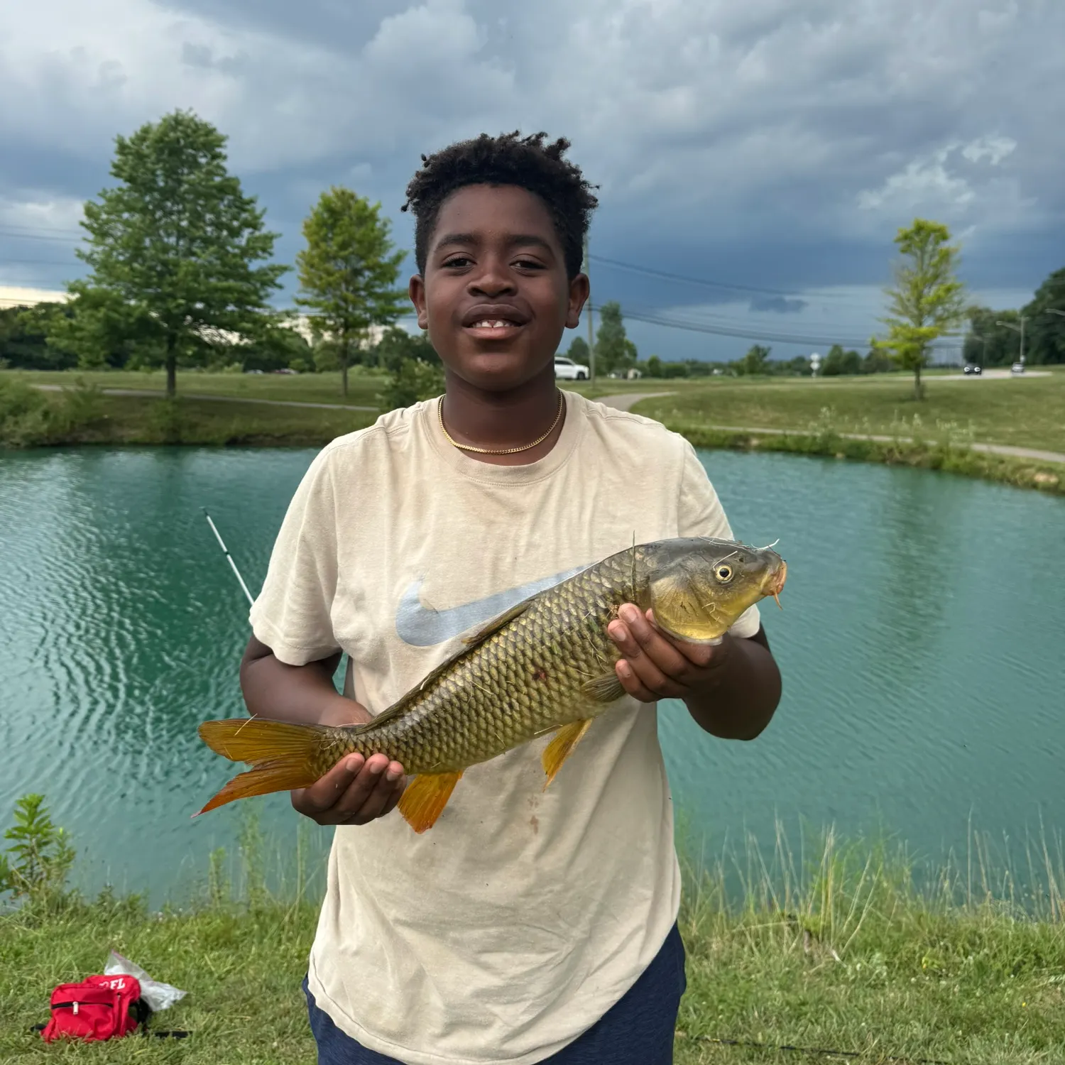 Common carp caught on Fishbrain