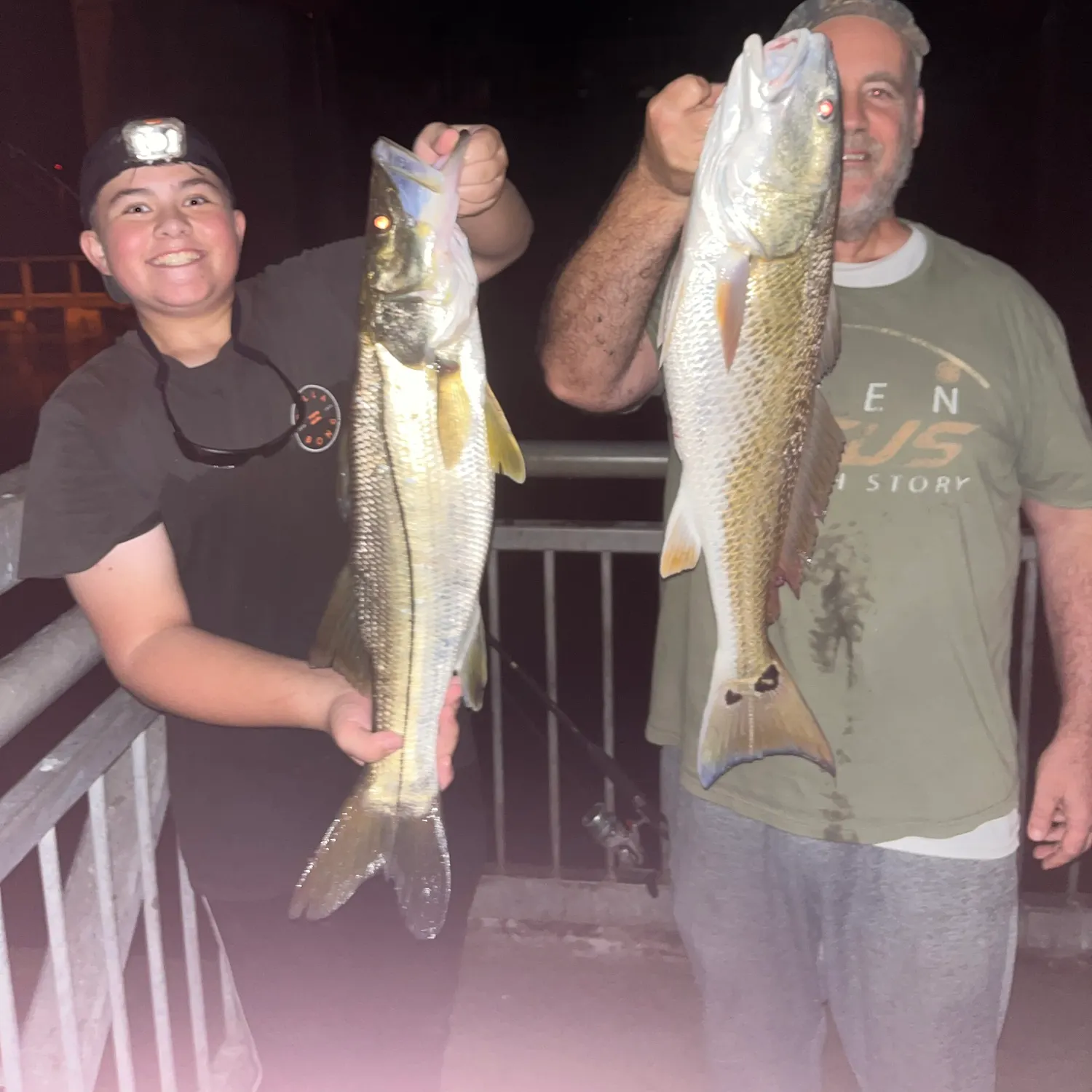 The most recent Red drum catches on Fishbrain