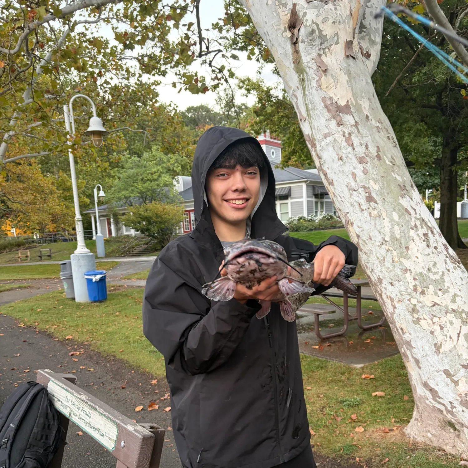 Channel catfish caught on Fishbrain