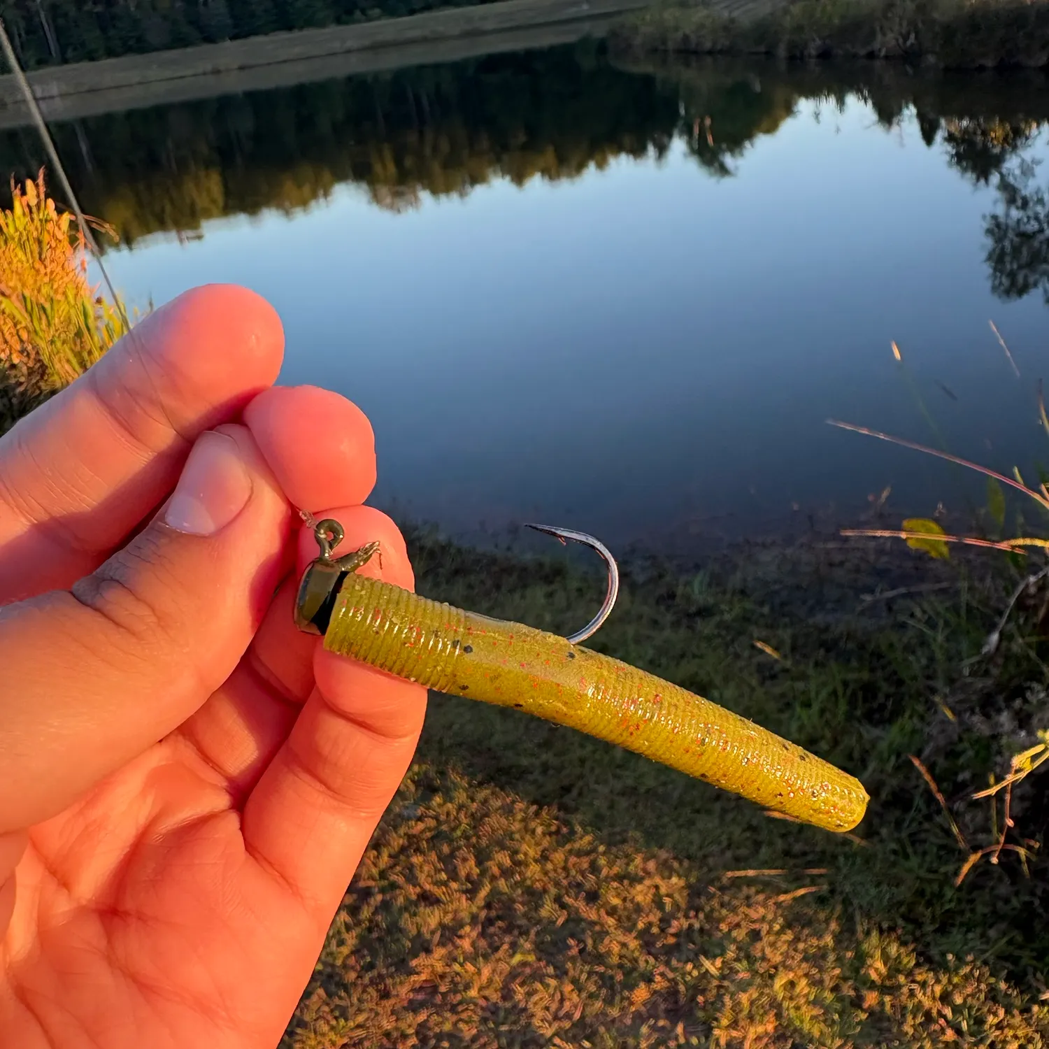 Fish caught on Fishbrain