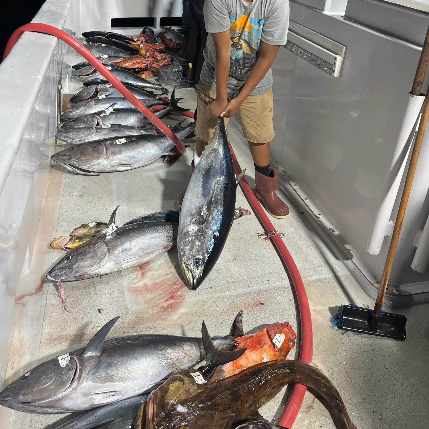 recently logged catches