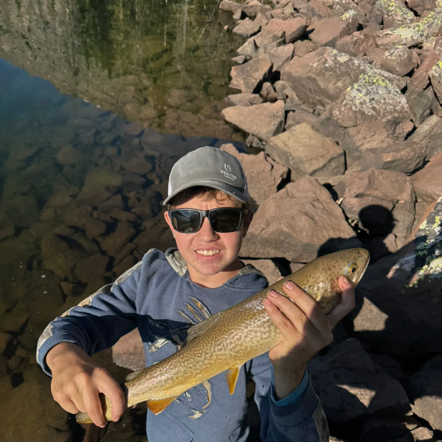 Tiger trout caught on Fishbrain
