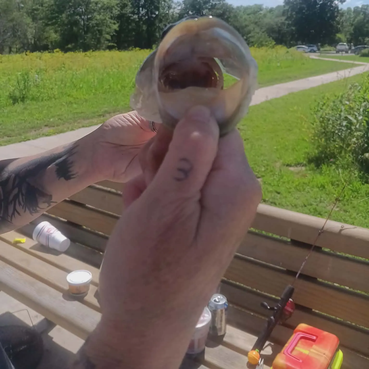 catch