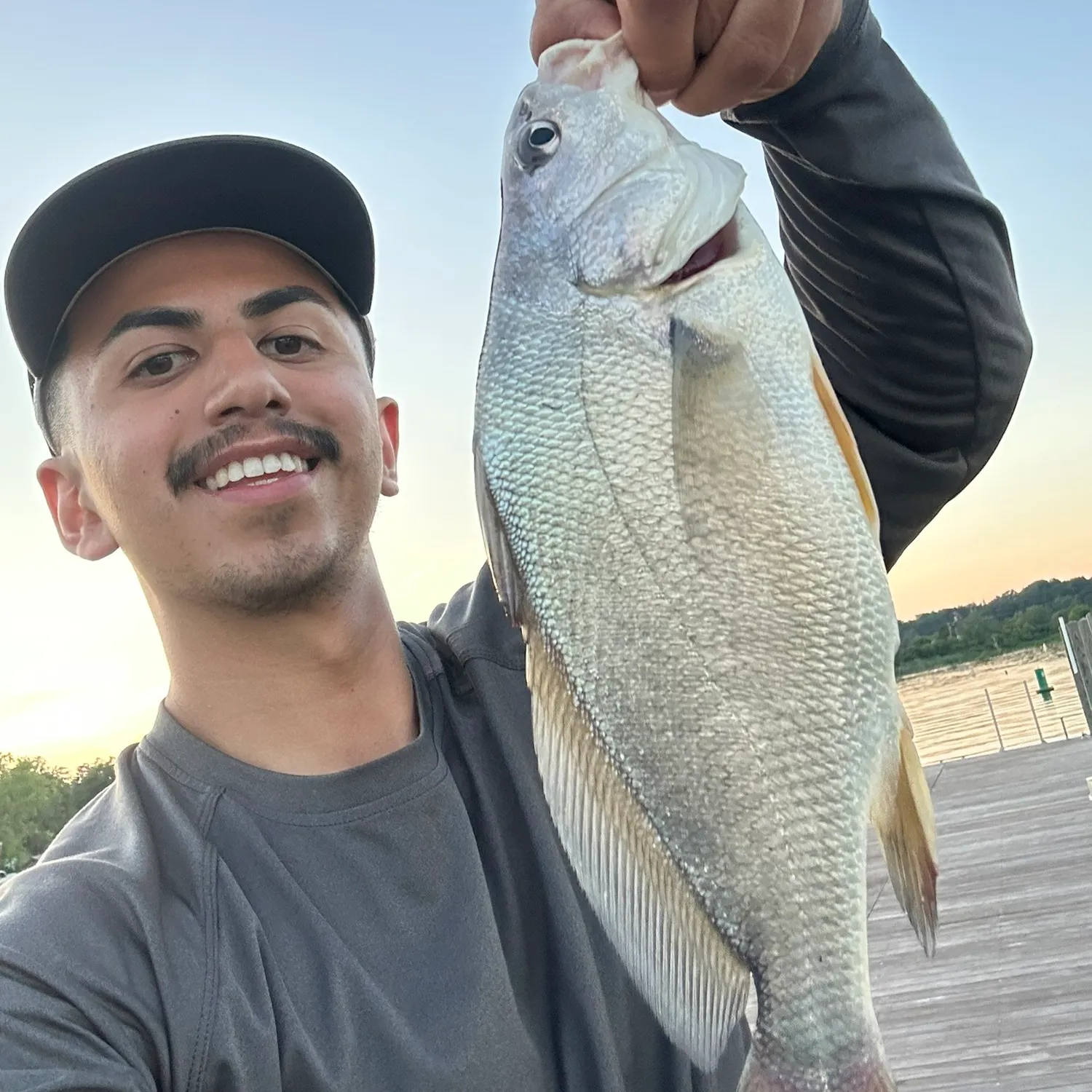 The most recent Freshwater drum catches on Fishbrain