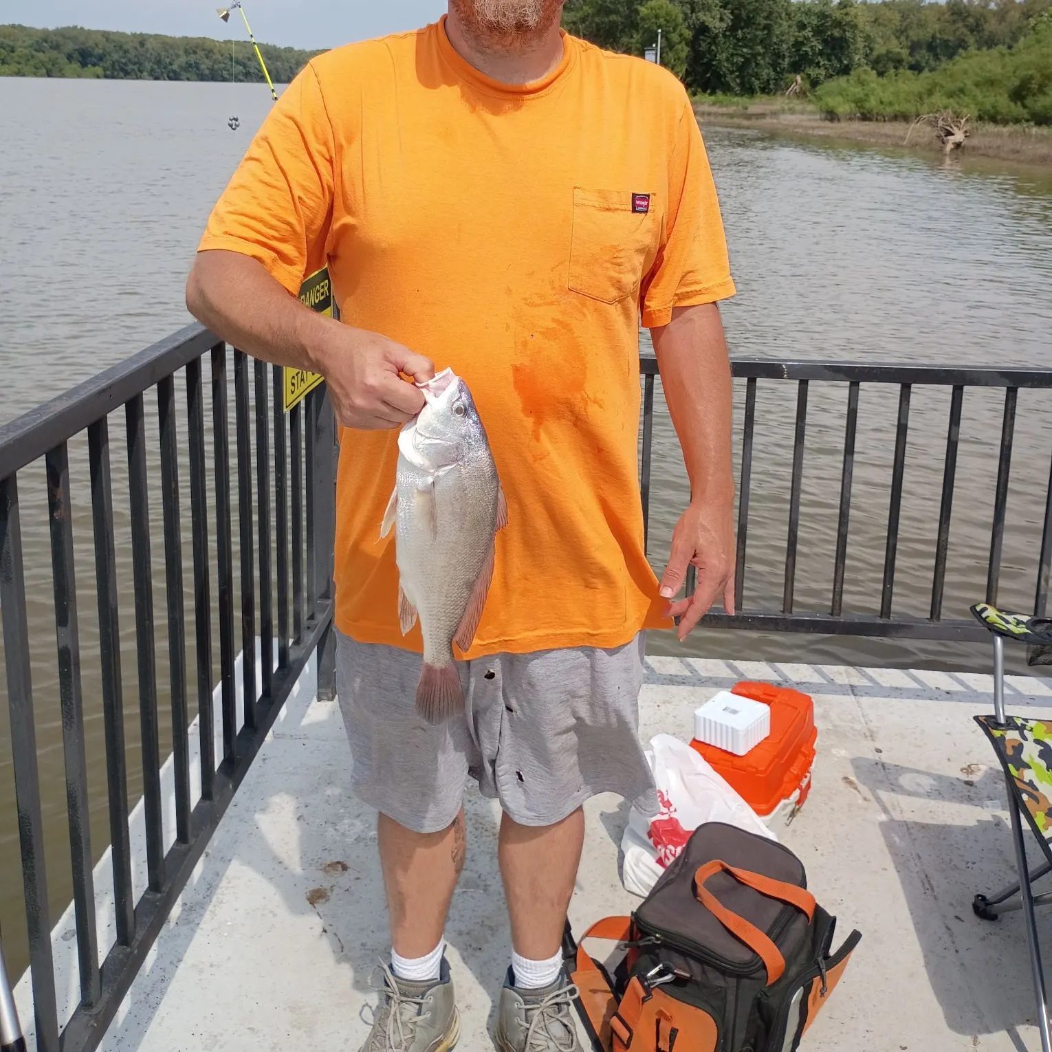 Freshwater drum caught on Fishbrain