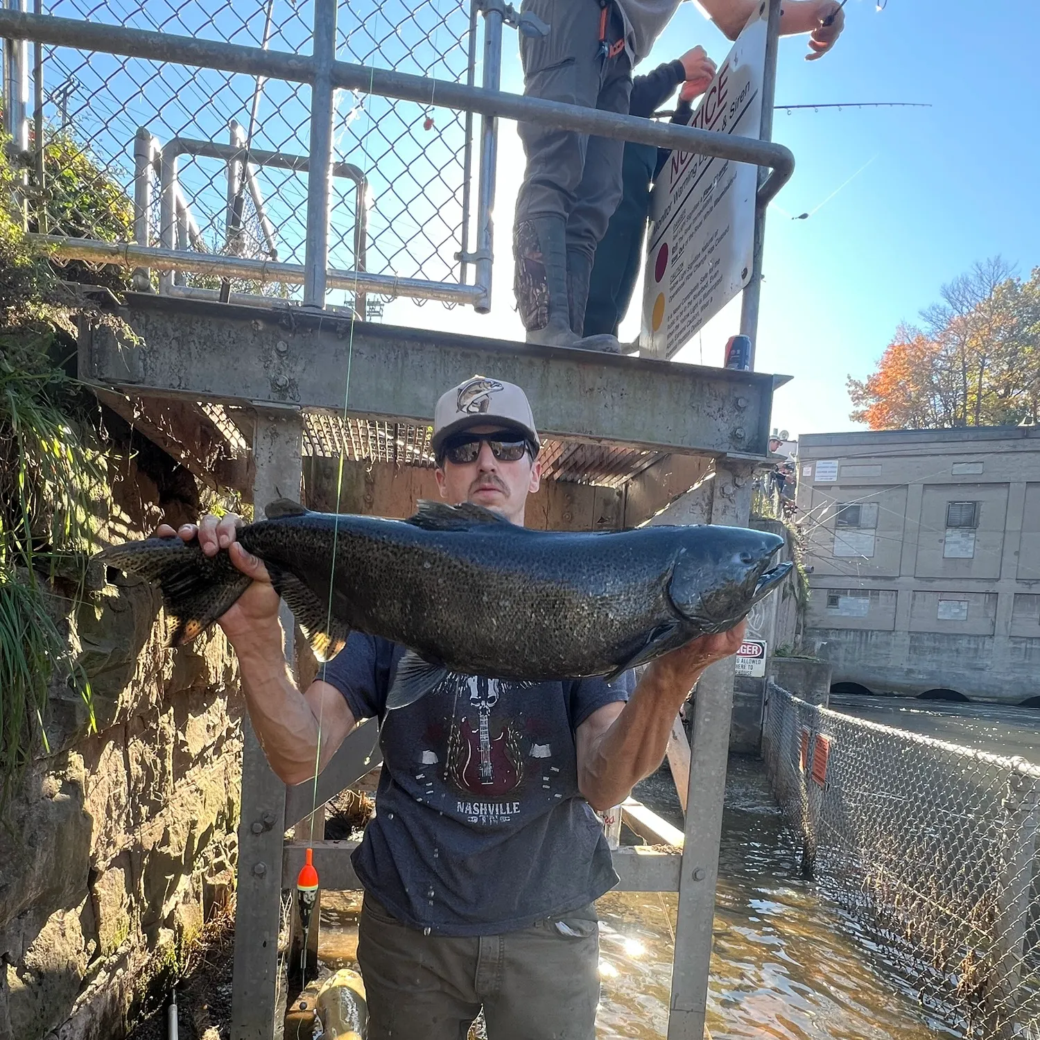 The most recent Chinook salmon catches on Fishbrain