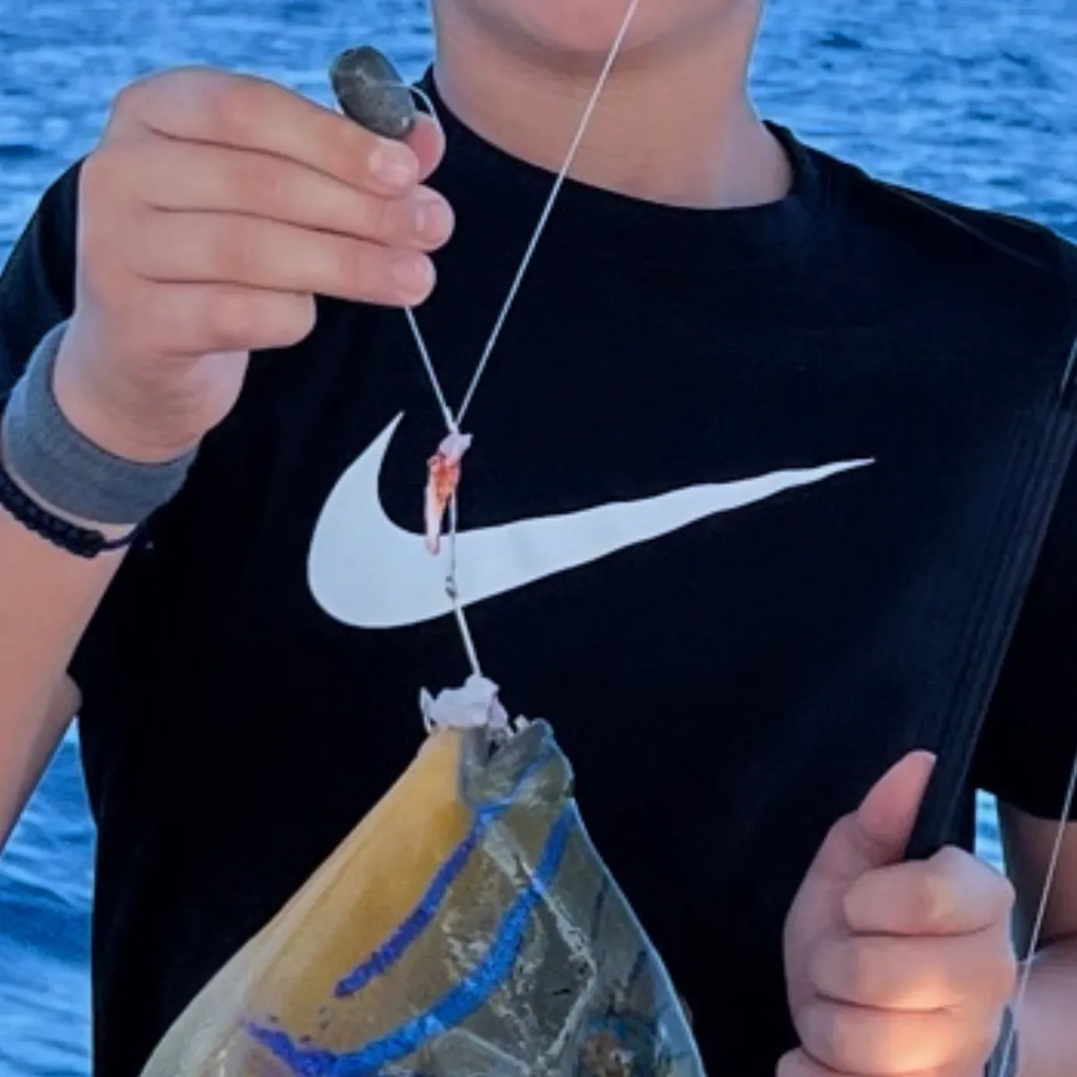 The most recent Queen triggerfish catches on Fishbrain