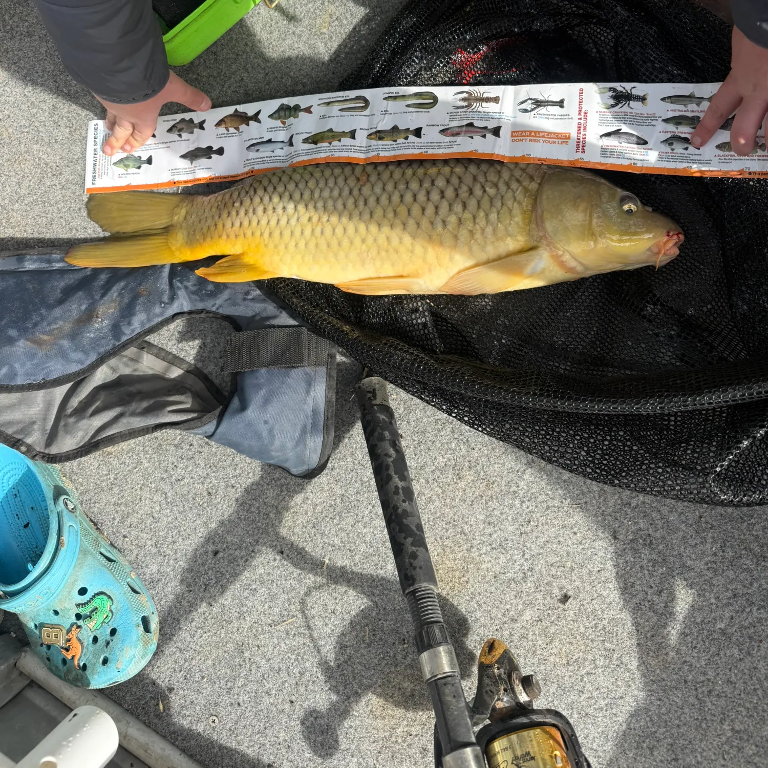 catch