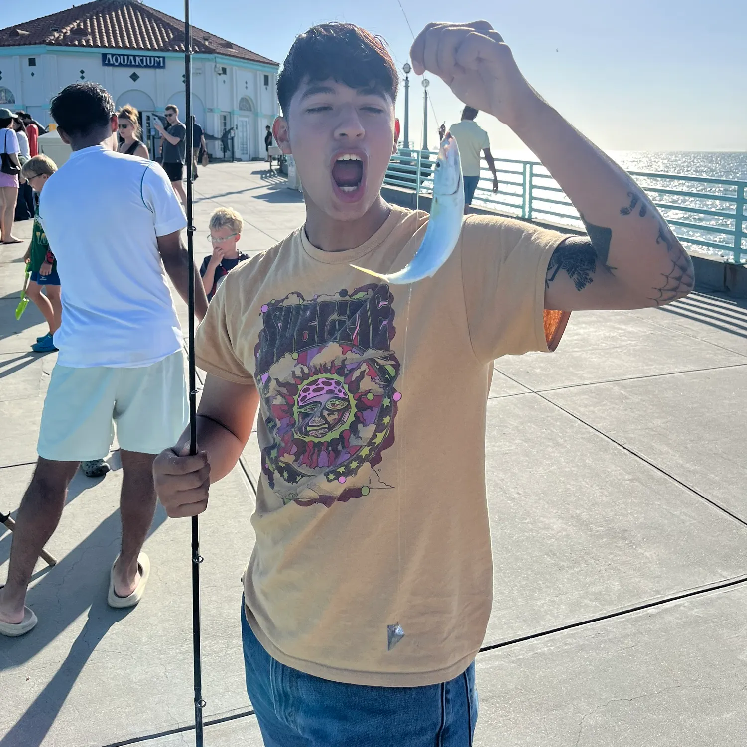 The most recent Pacific chub mackerel catches on Fishbrain