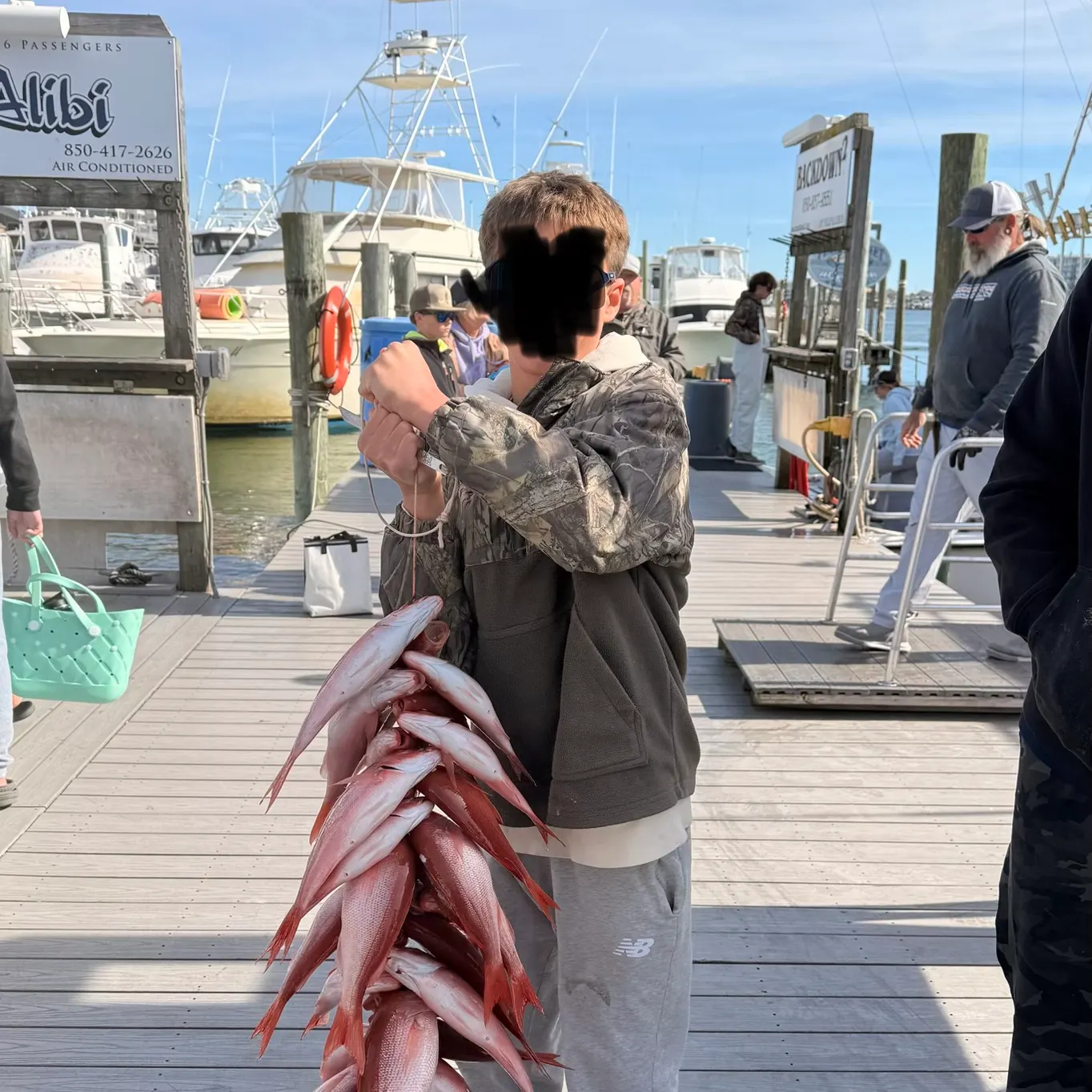The most recent Vermilion snapper catches on Fishbrain