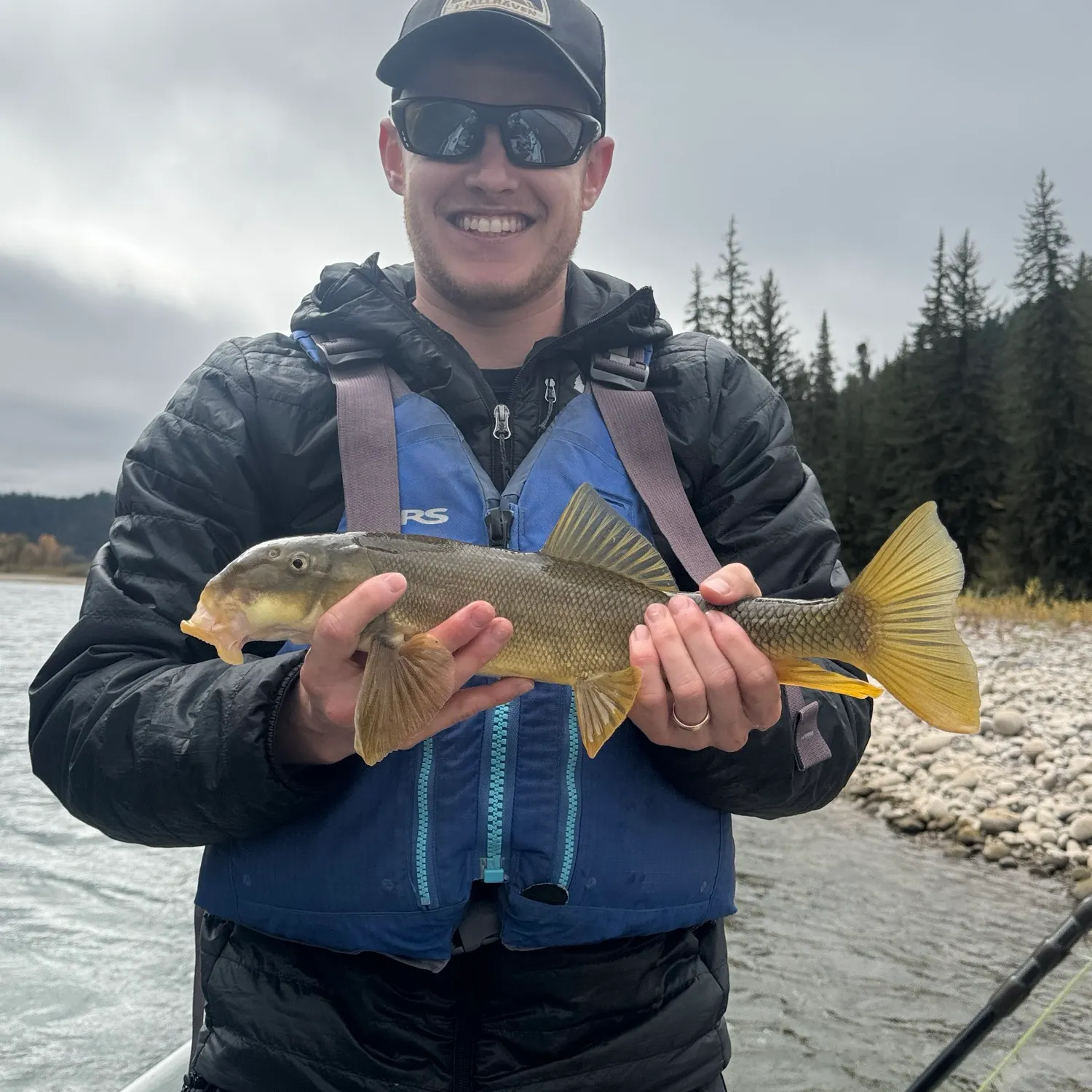 The most recent Utah sucker catches on Fishbrain