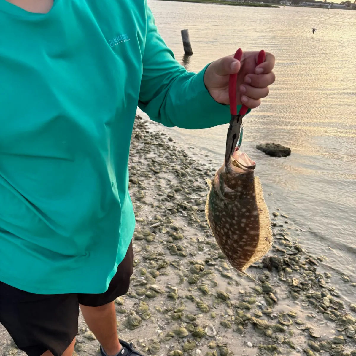The most recent Southern flounder catches on Fishbrain