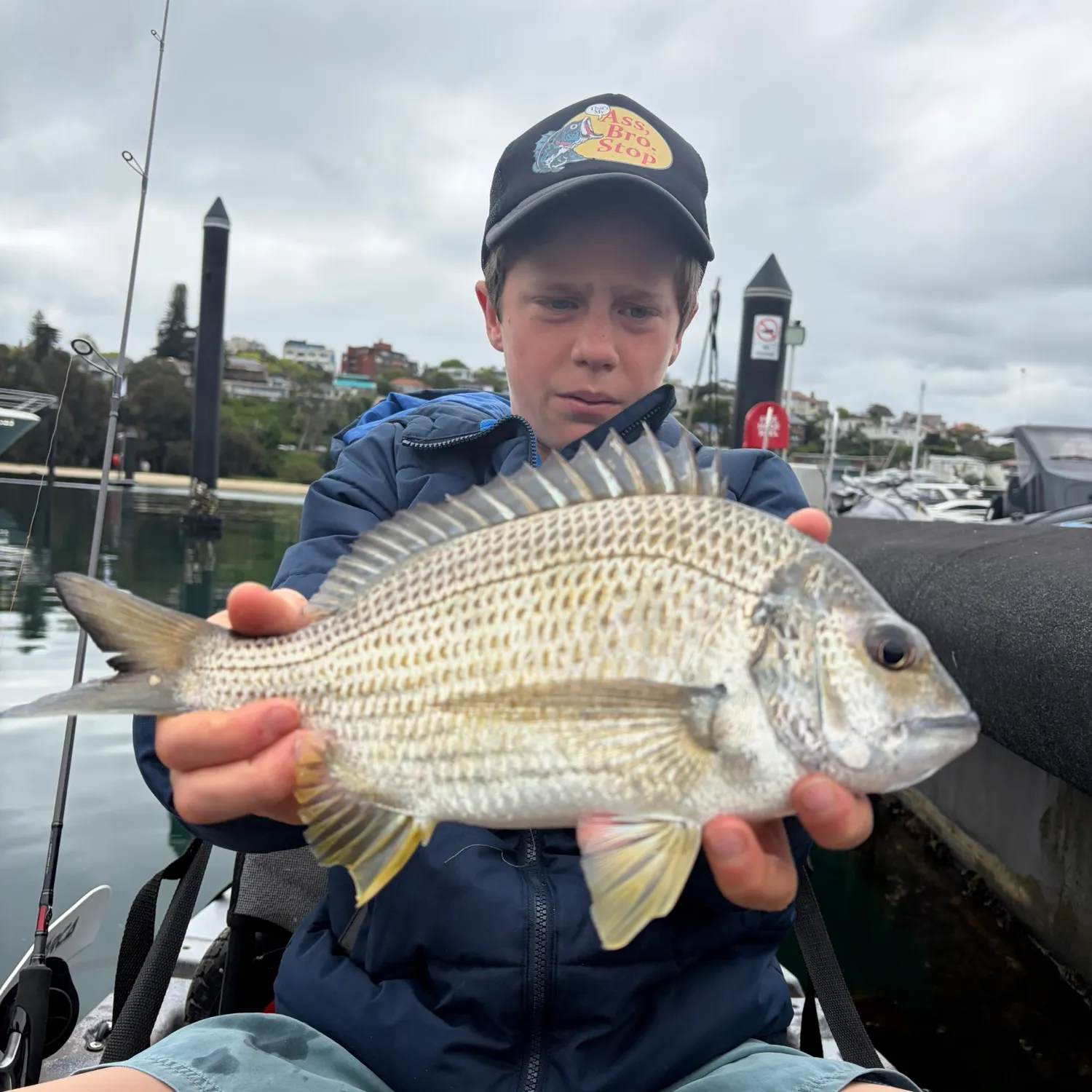 Surf bream caught on Fishbrain