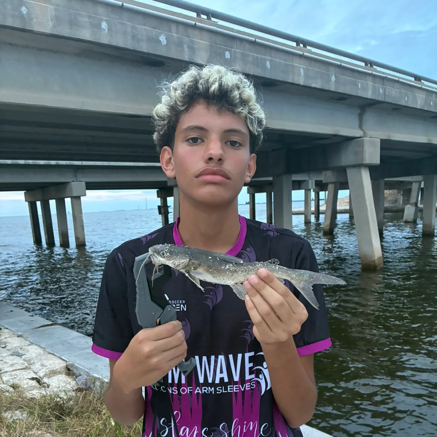 Gafftopsail sea catfish caught on Fishbrain