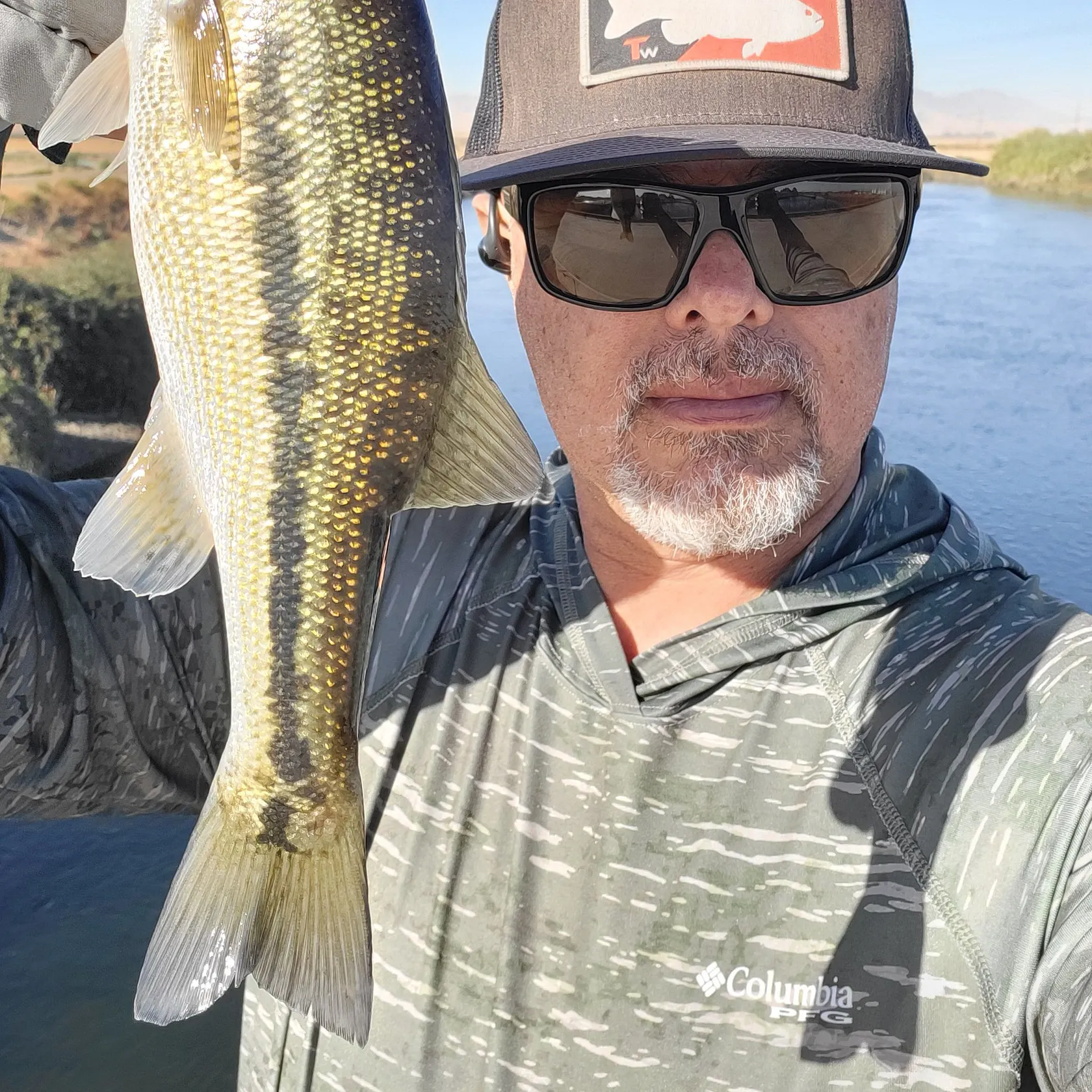 Spotted bass caught on Fishbrain