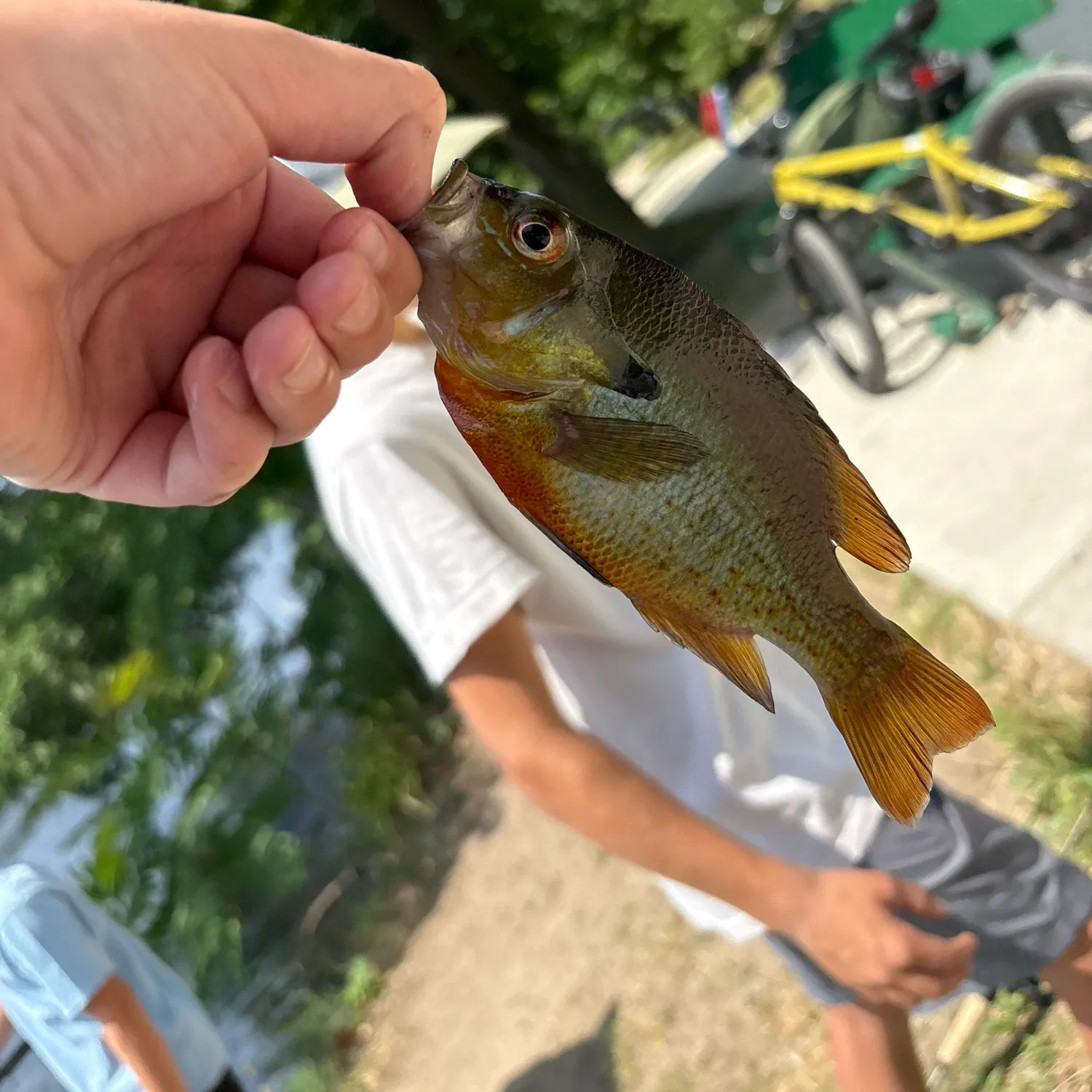 catch