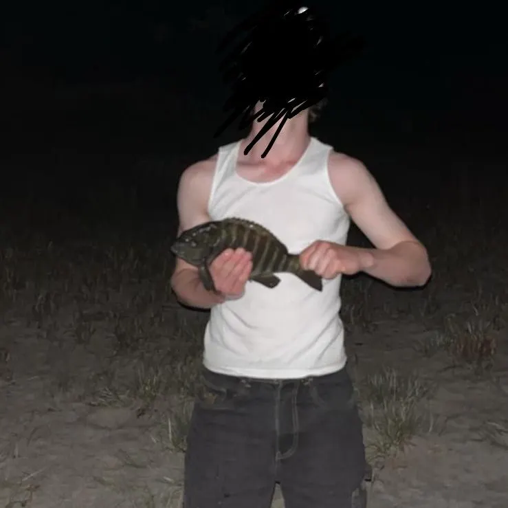 The most recent Luderick catches on Fishbrain