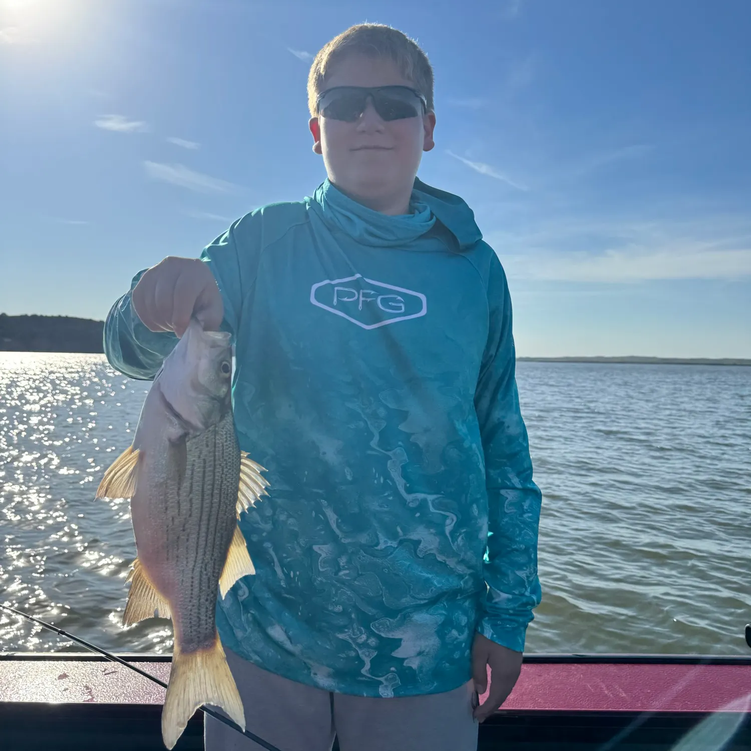 White bass caught on Fishbrain