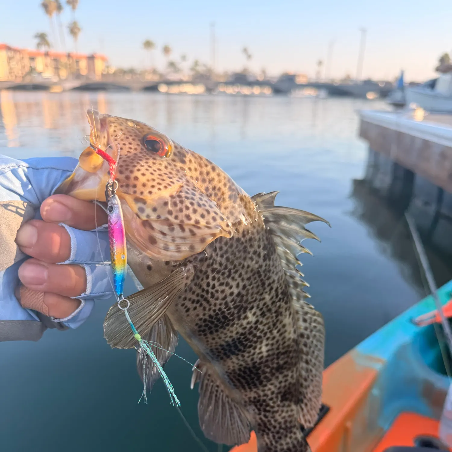catch