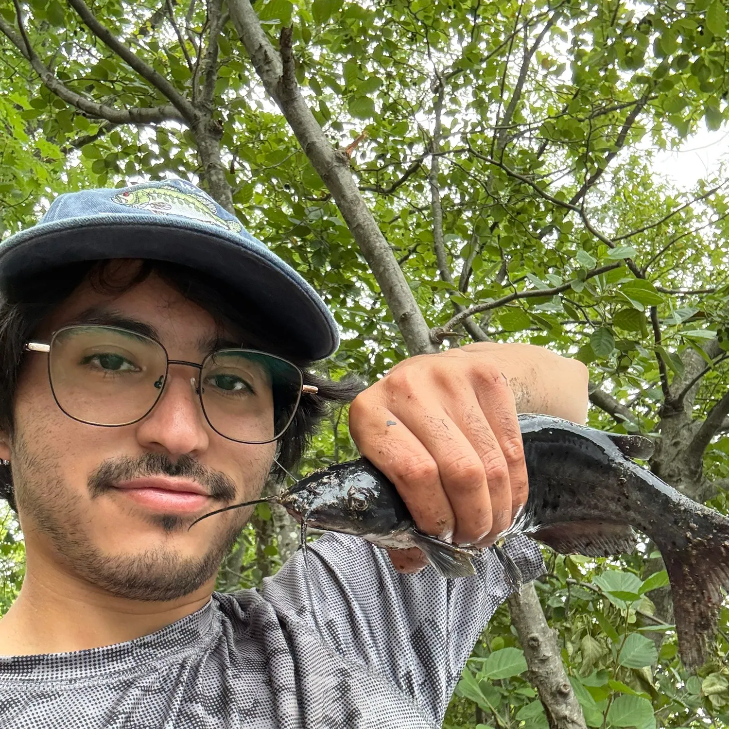 Channel catfish caught on Fishbrain