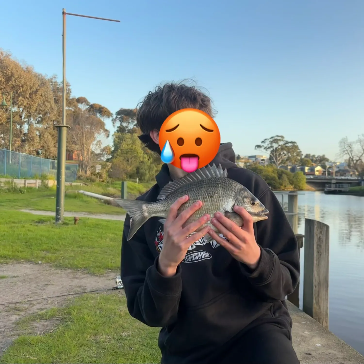 Southern black bream caught on Fishbrain