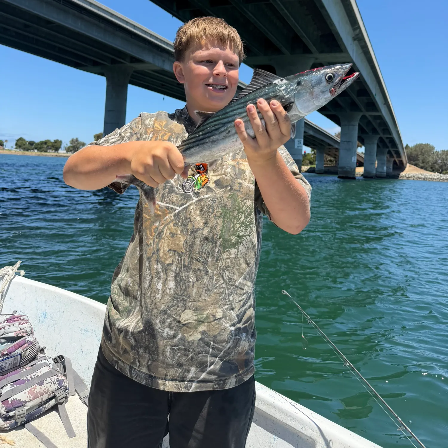 The most recent Plain bonito catches on Fishbrain