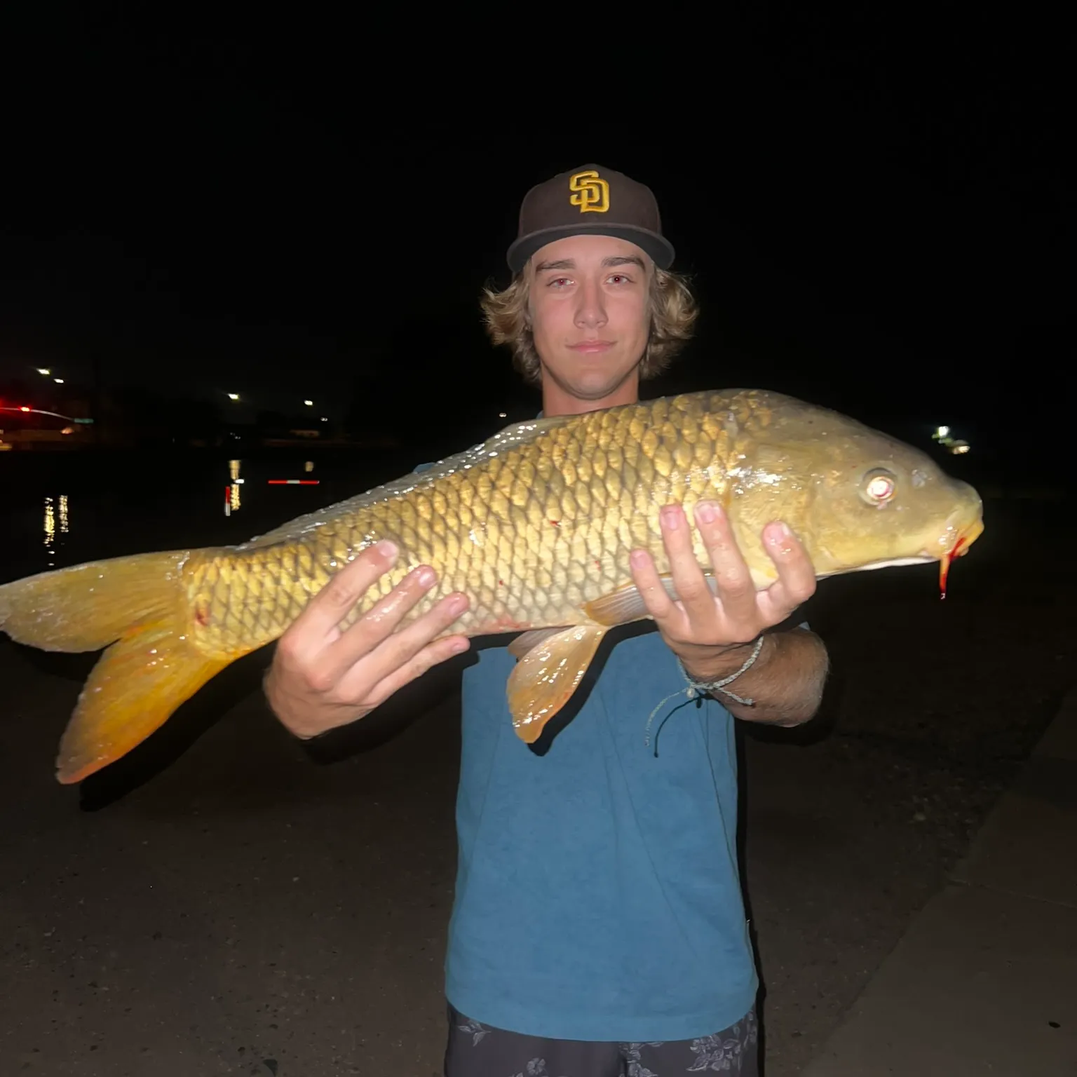 The most recent Common carp catches on Fishbrain