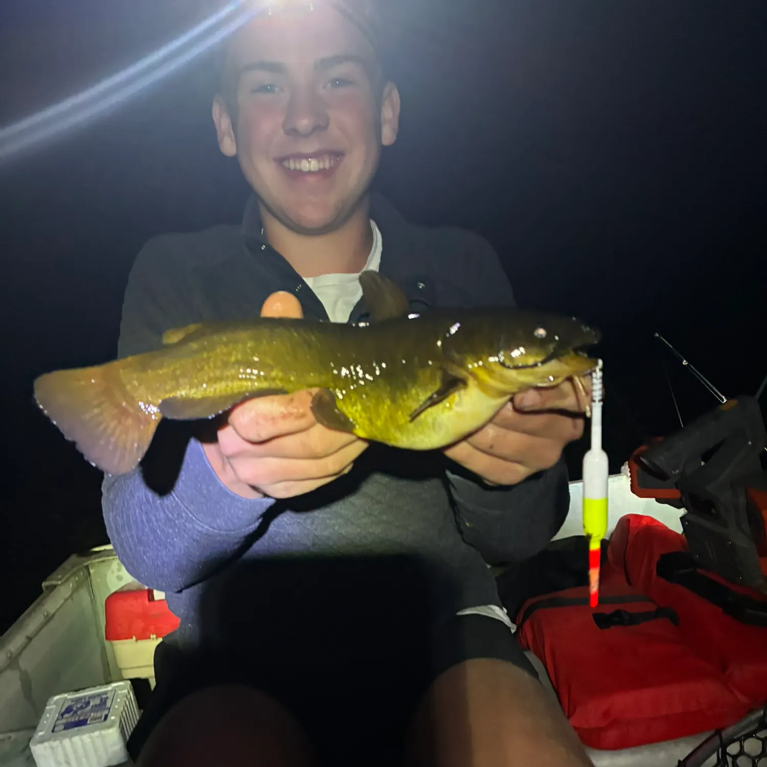 Yellow bullhead caught on Fishbrain