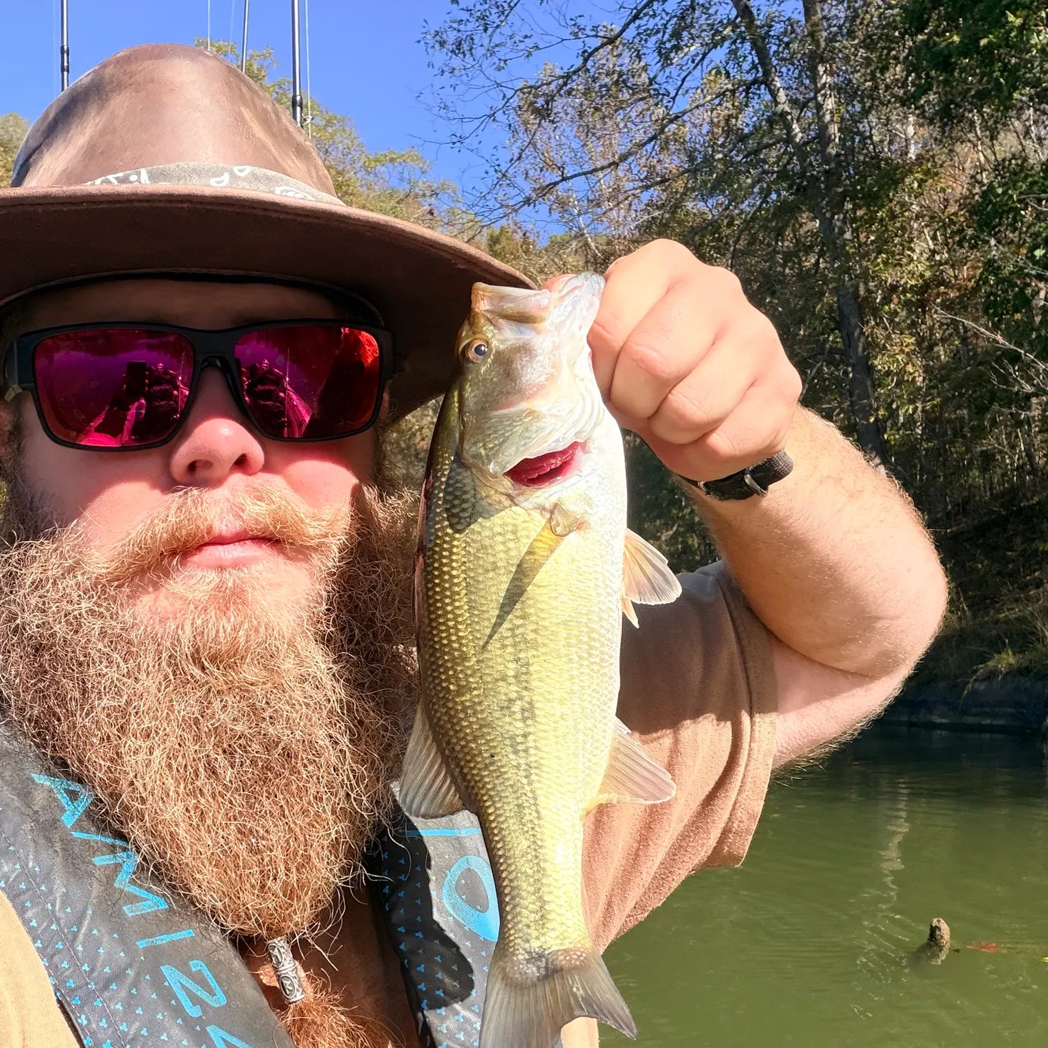 Largemouth bass caught on Fishbrain