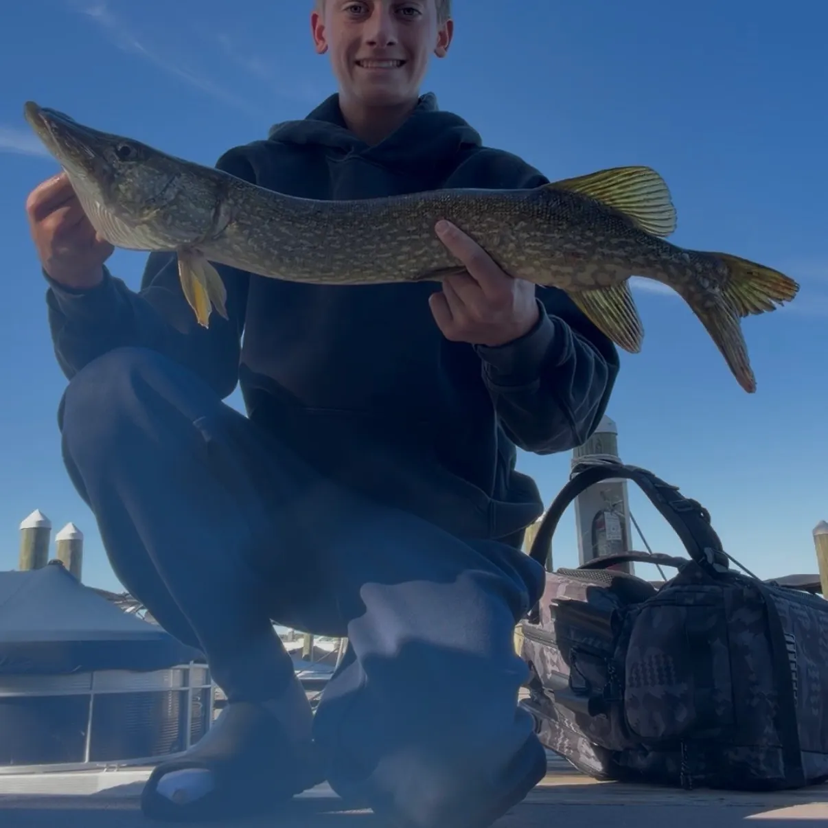 Northern pike caught on Fishbrain