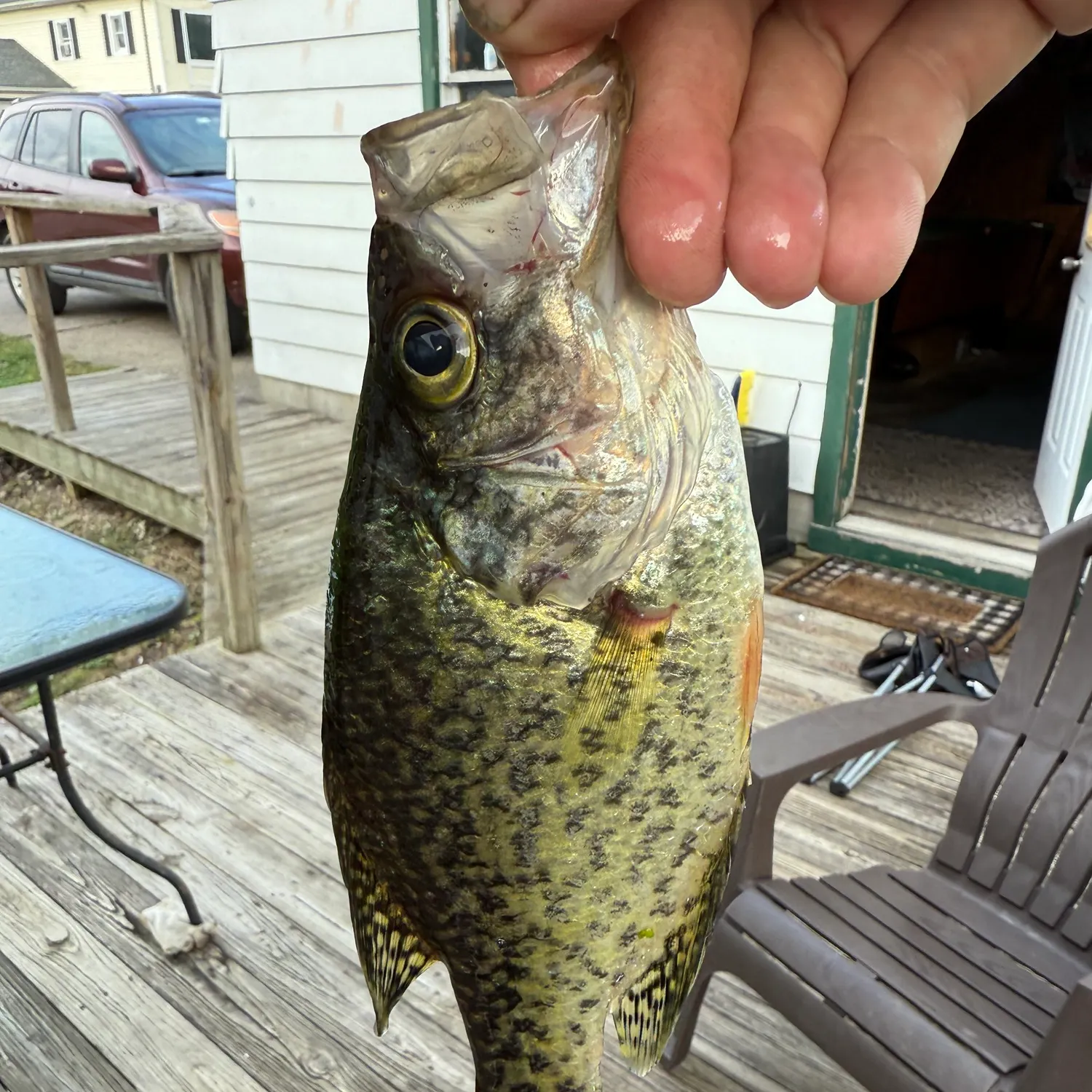 catch
