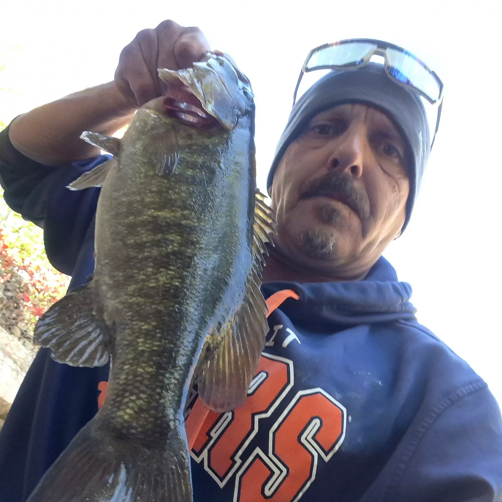 Smallmouth bass caught on Fishbrain