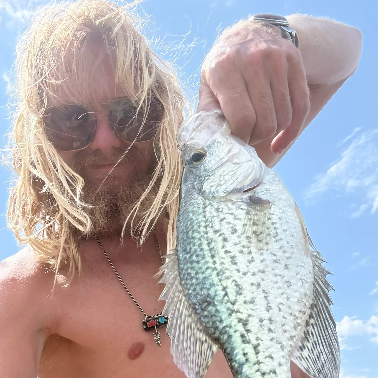 Black crappie caught on Fishbrain