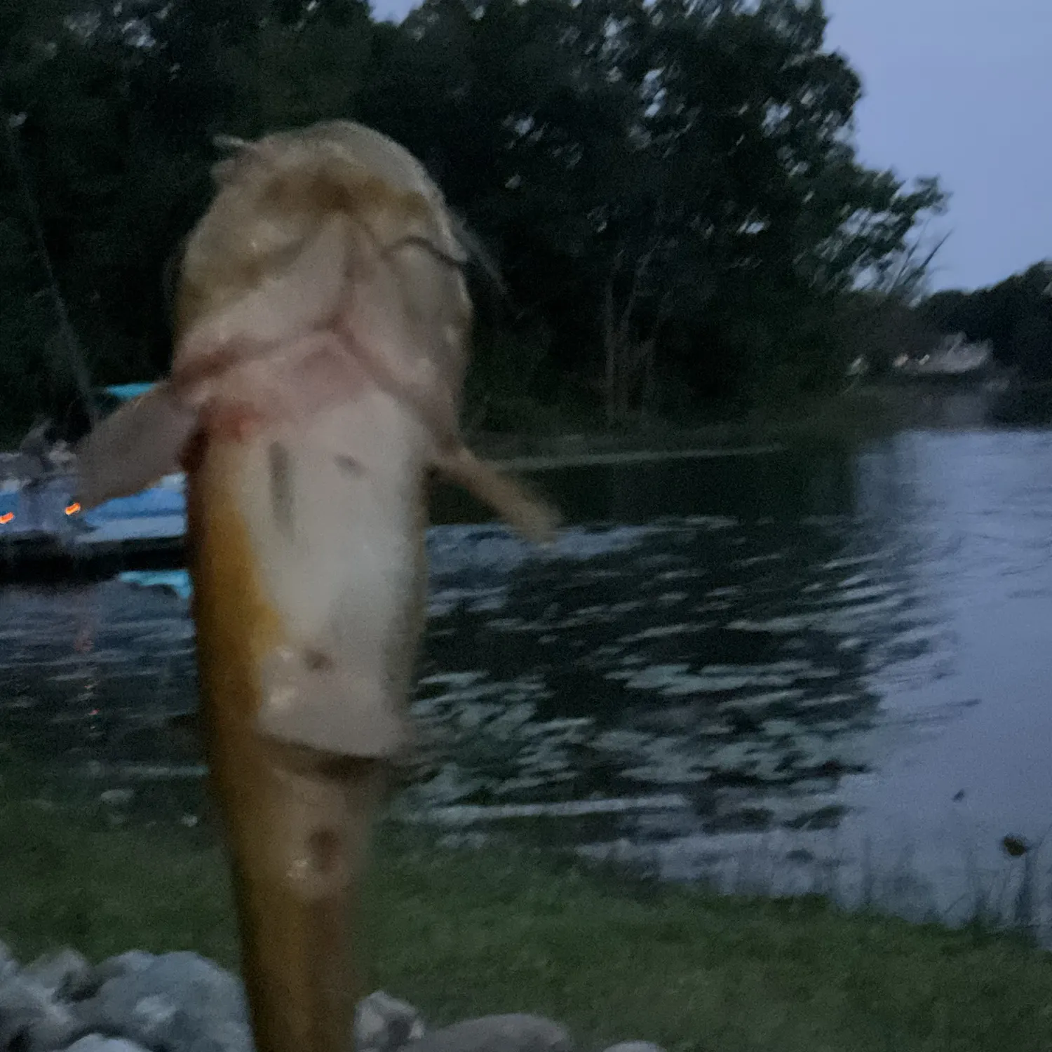 catch