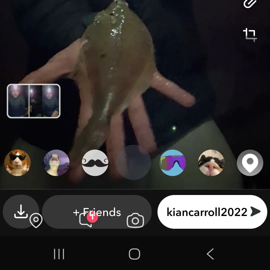 The most recent Common dab catches on Fishbrain