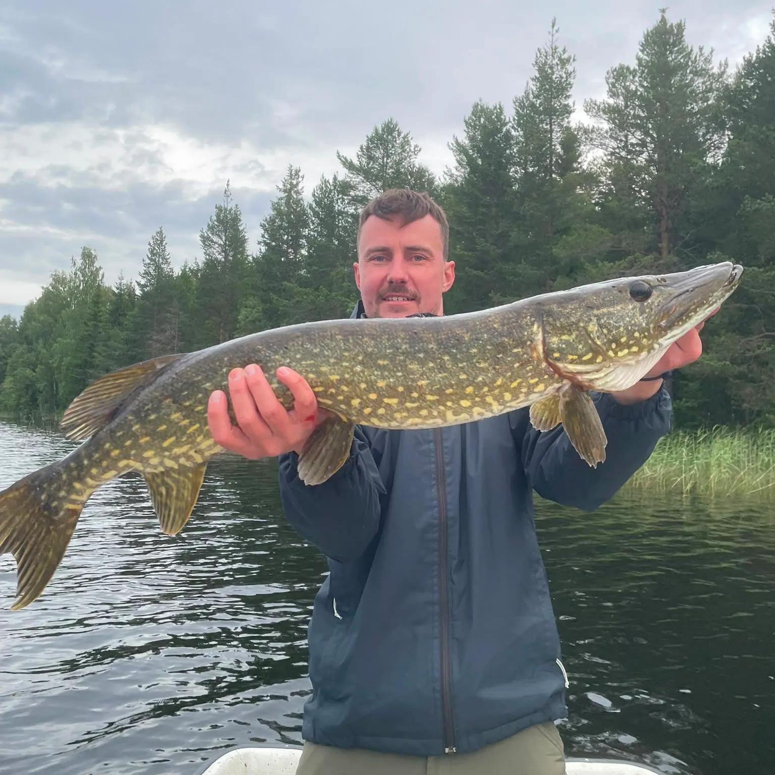 Northern pike caught on Fishbrain