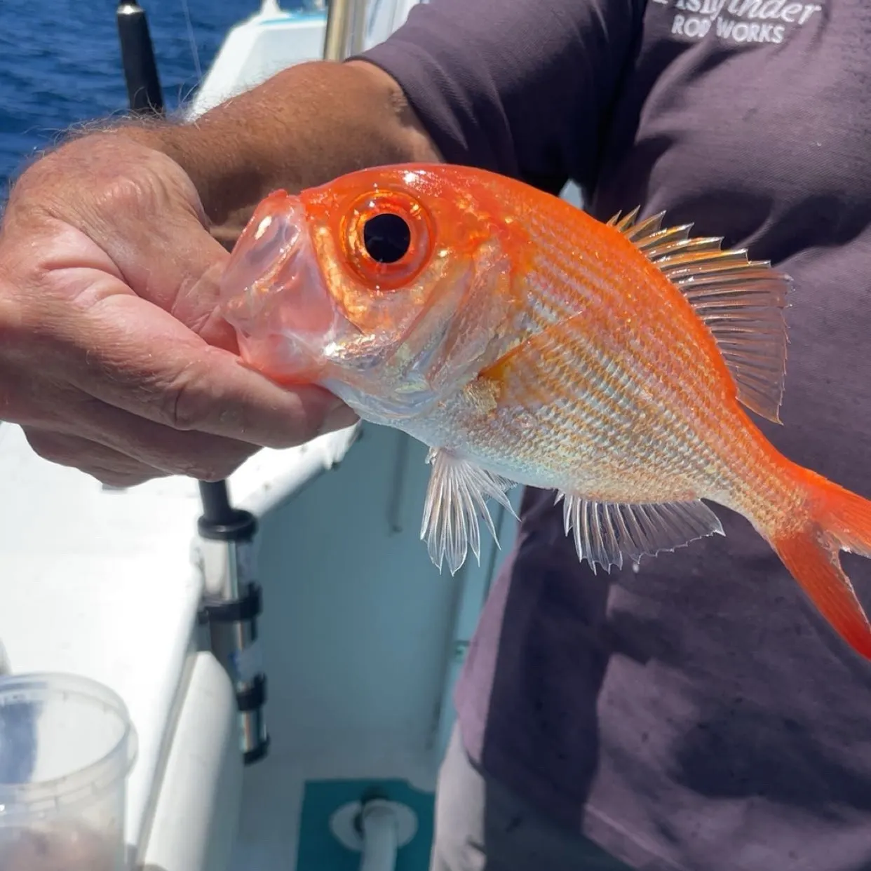 The most recent Red bigeye catches on Fishbrain
