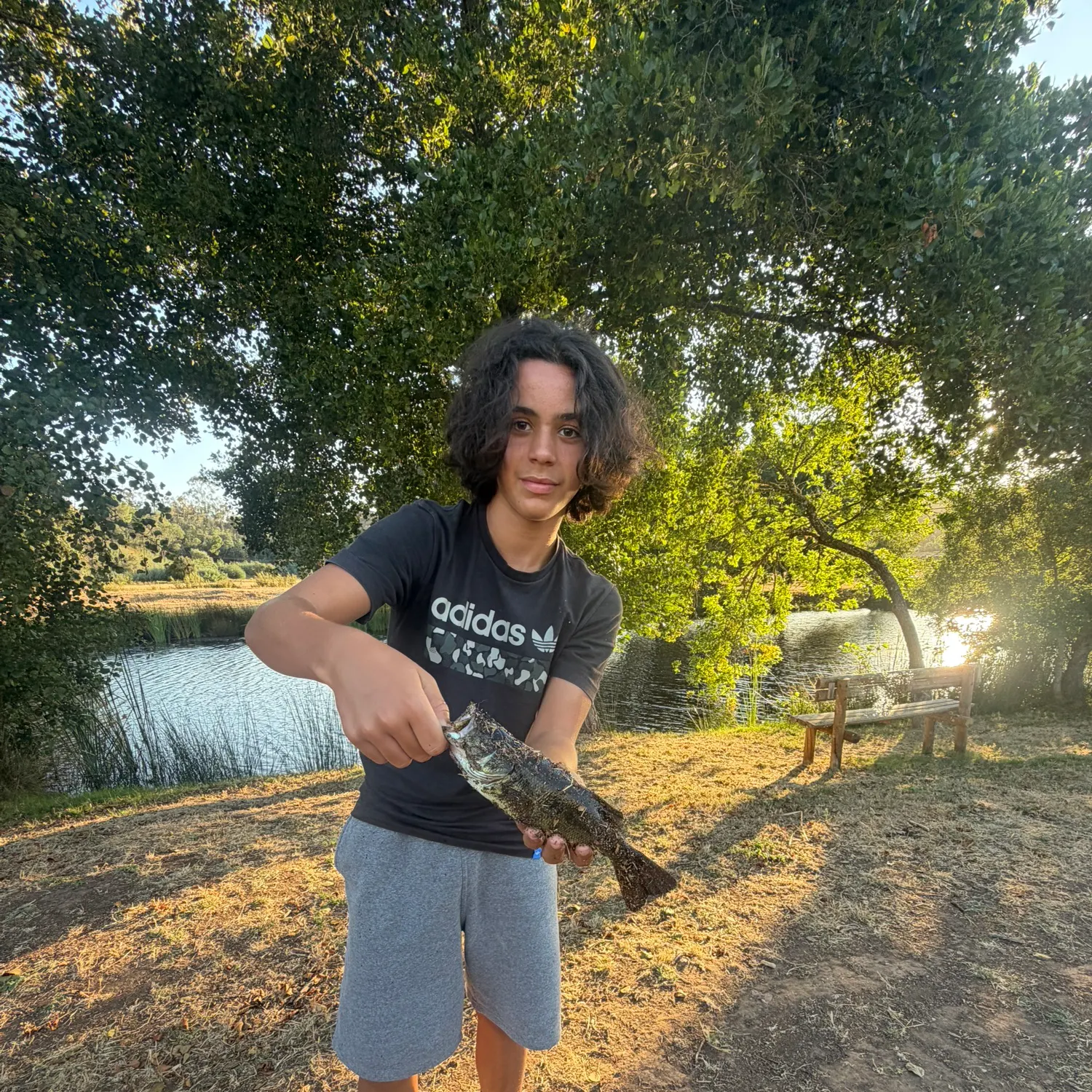 Fish caught on Fishbrain