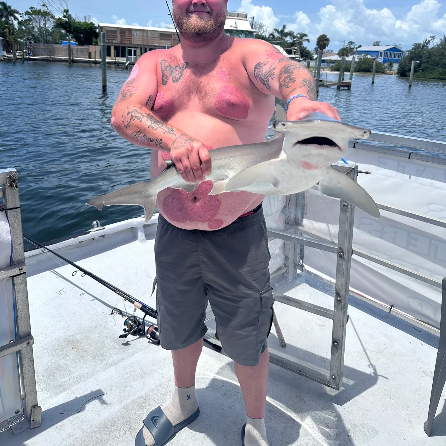 The most recent Bonnethead shark catches on Fishbrain