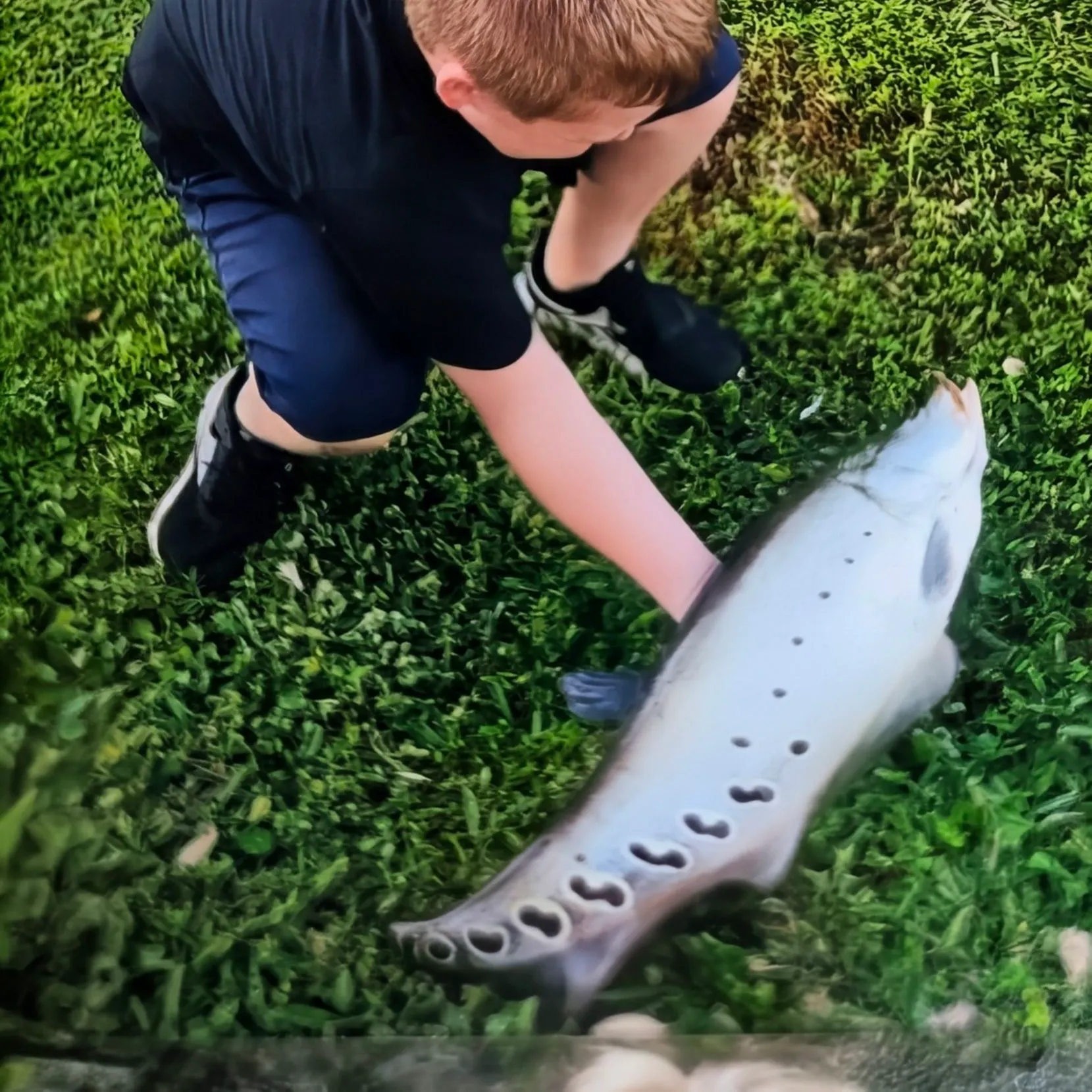 The most recent Clown knifefish catches on Fishbrain
