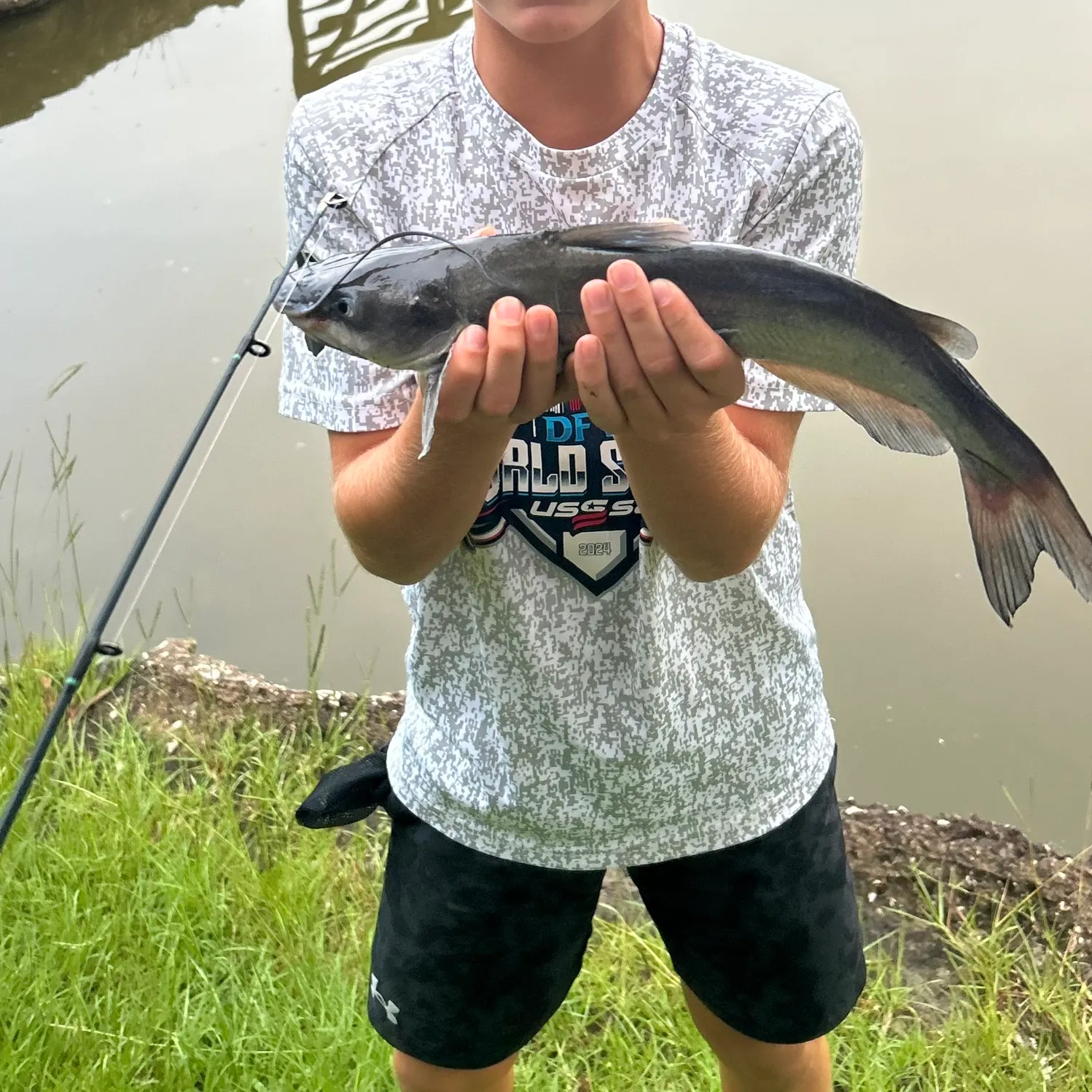 The most recent Blue catfish catches on Fishbrain