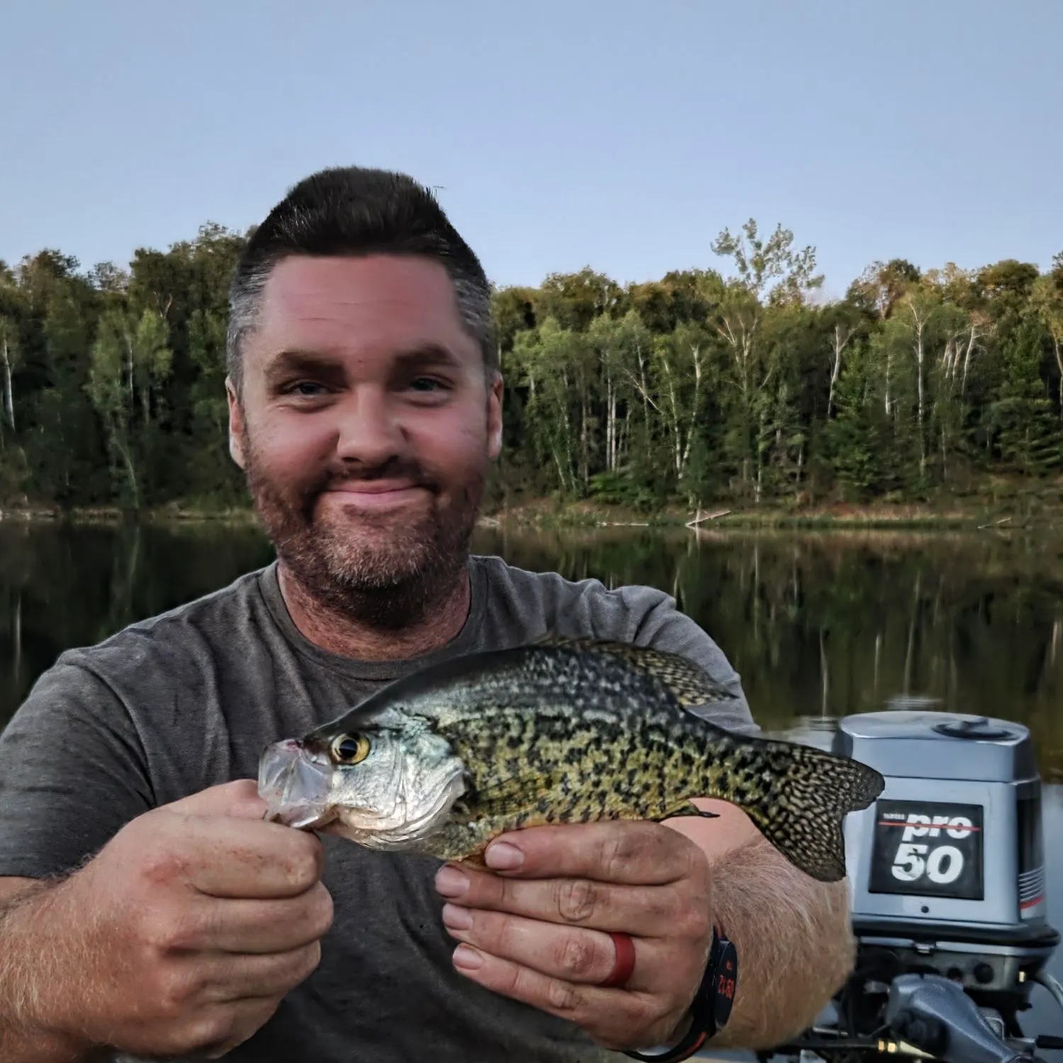 Black crappie caught on Fishbrain