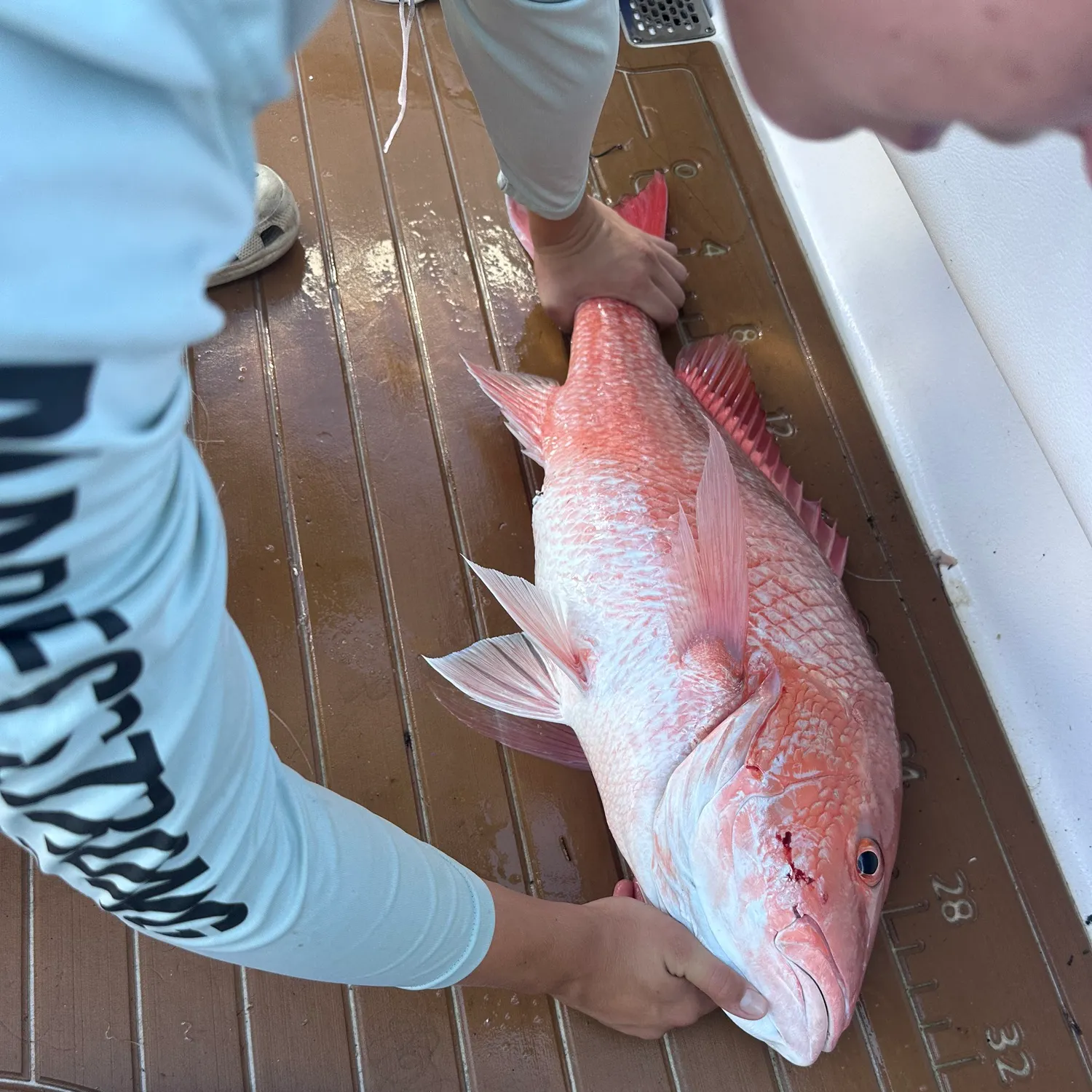 The most recent Northern red snapper catches on Fishbrain