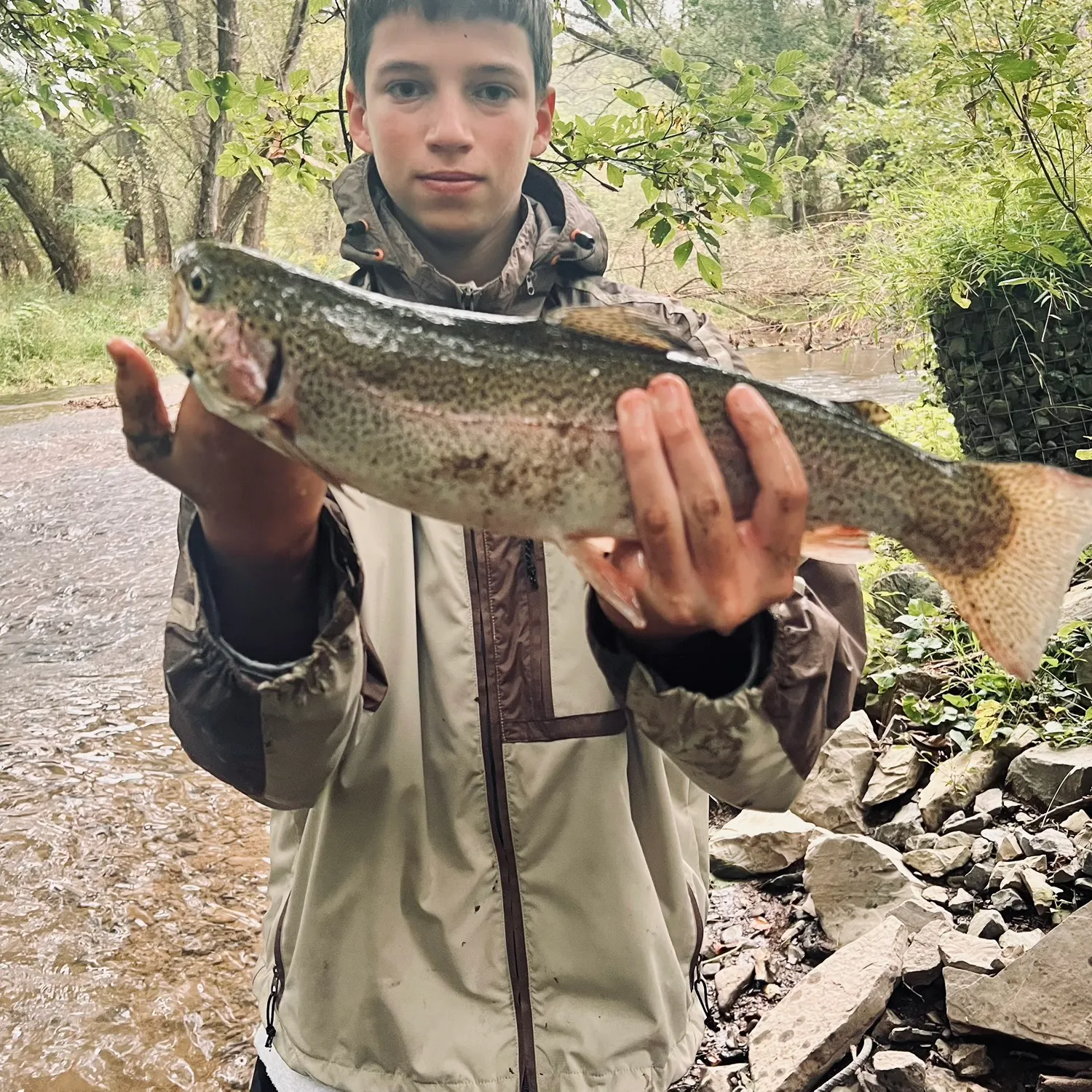 Rainbow trout caught on Fishbrain