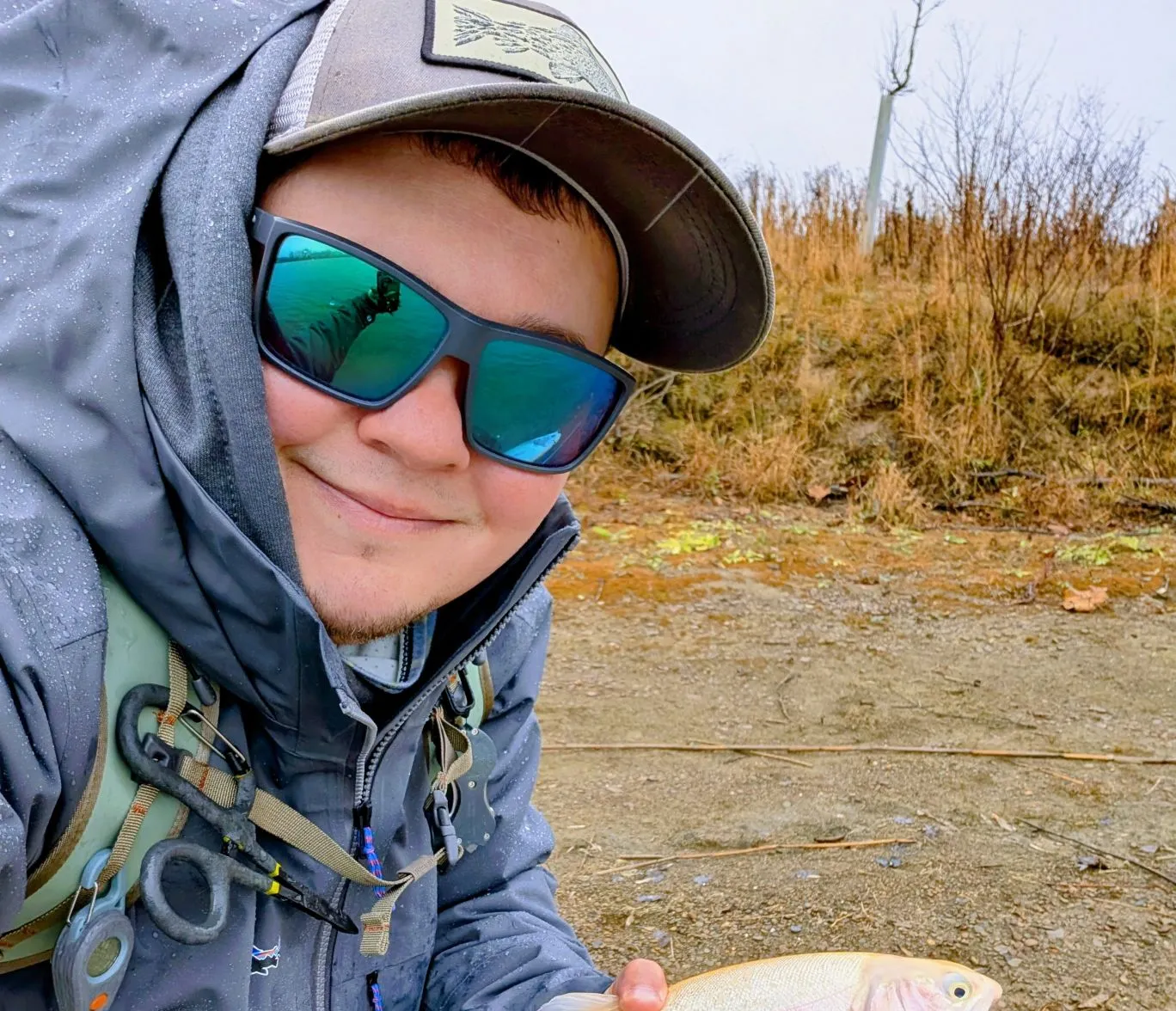 Golden rainbow trout