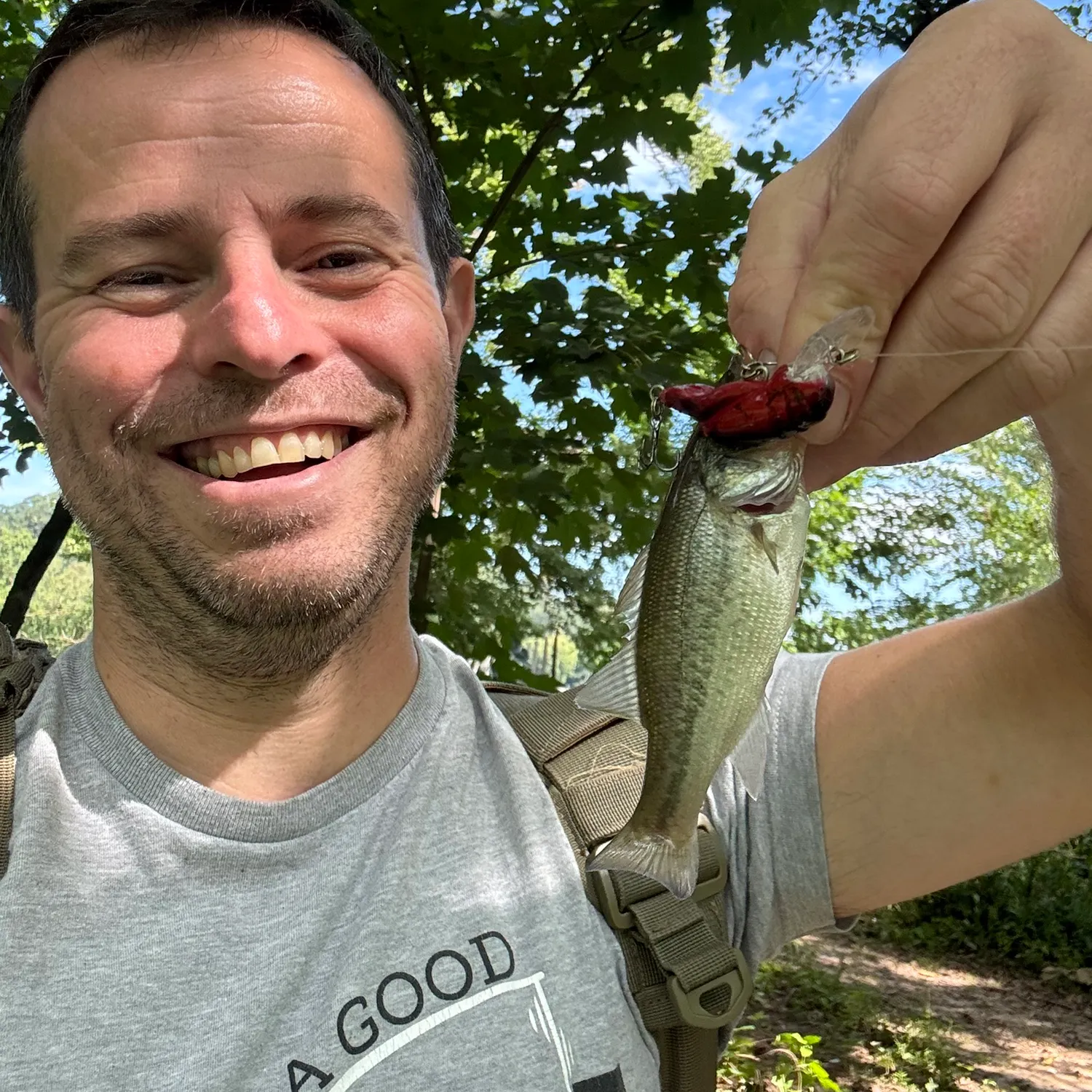 Largemouth bass caught on Fishbrain